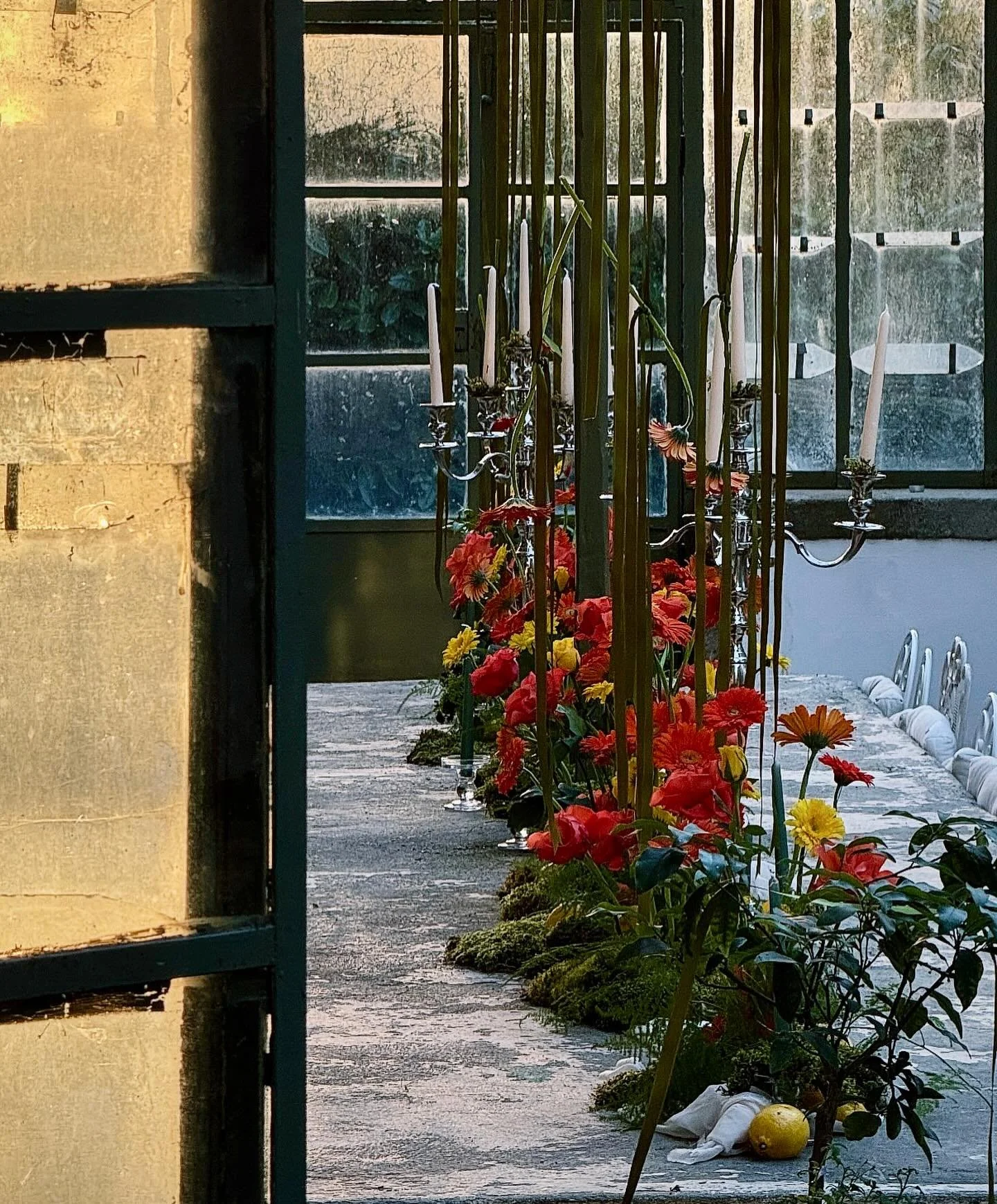 Inside the 1890 Greenhouse, light turns into poetry and every moment breathes a beauty suspended in time.