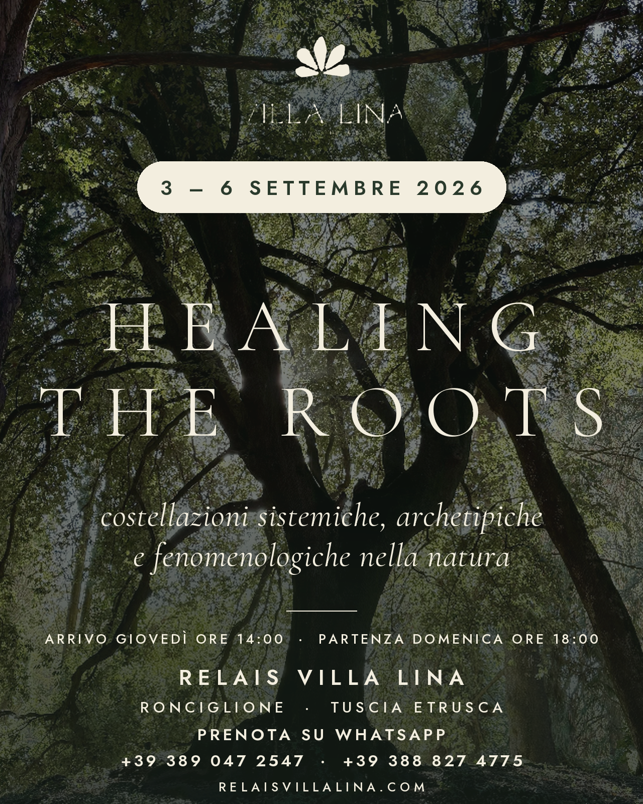 3 - 6 Settembre 2026 / Healing the Roots - Costellazioni Sistemiche, Archetipiche e Fenomenologiche nella Natura