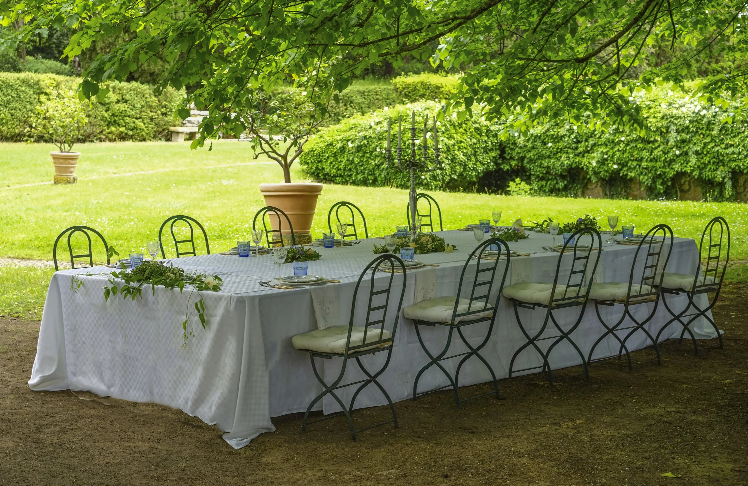 Lunch under the shade of the linden trees.