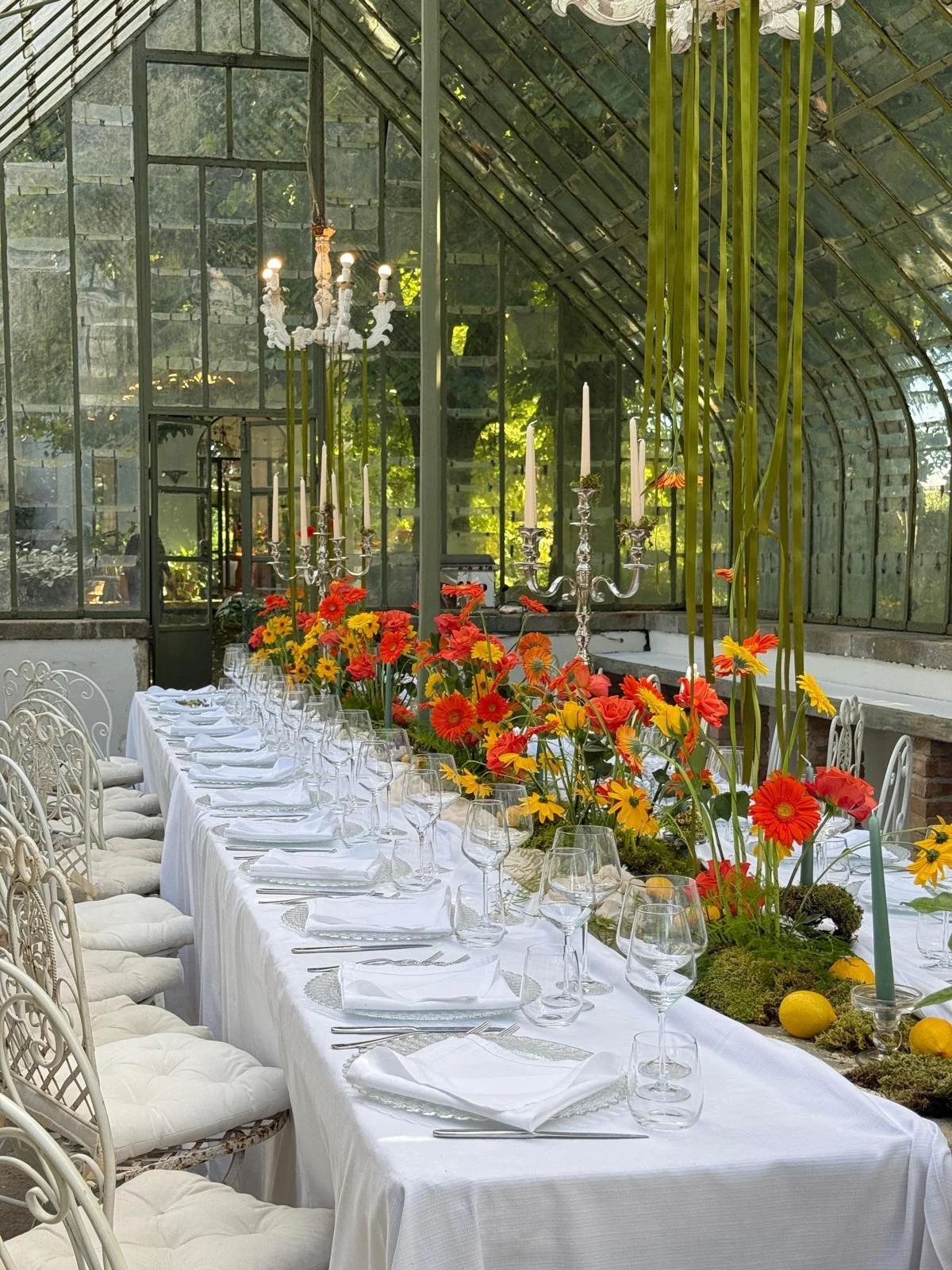 Lunch in the Greenhouse