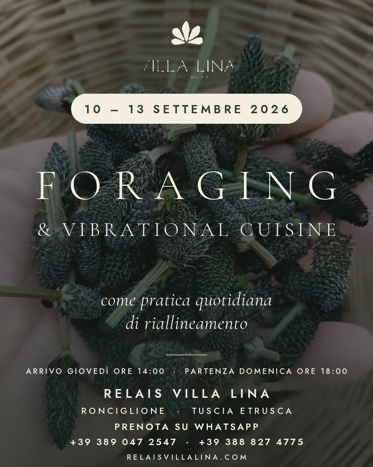 10 - 13 Settembre 2026 / Foraging and Deep Listening to the Land with Angela Schmel