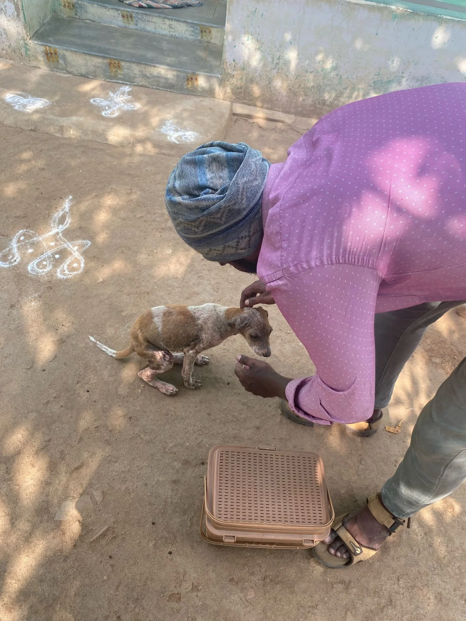 A person wearing a pink shirt, gray pants, sandals, and a head wrap, is feeding a small, thin puppy on a dirt ground in an outdoor area. There are chalk drawings of butterflies on the ground nearby, and some steps and a wall in the background.