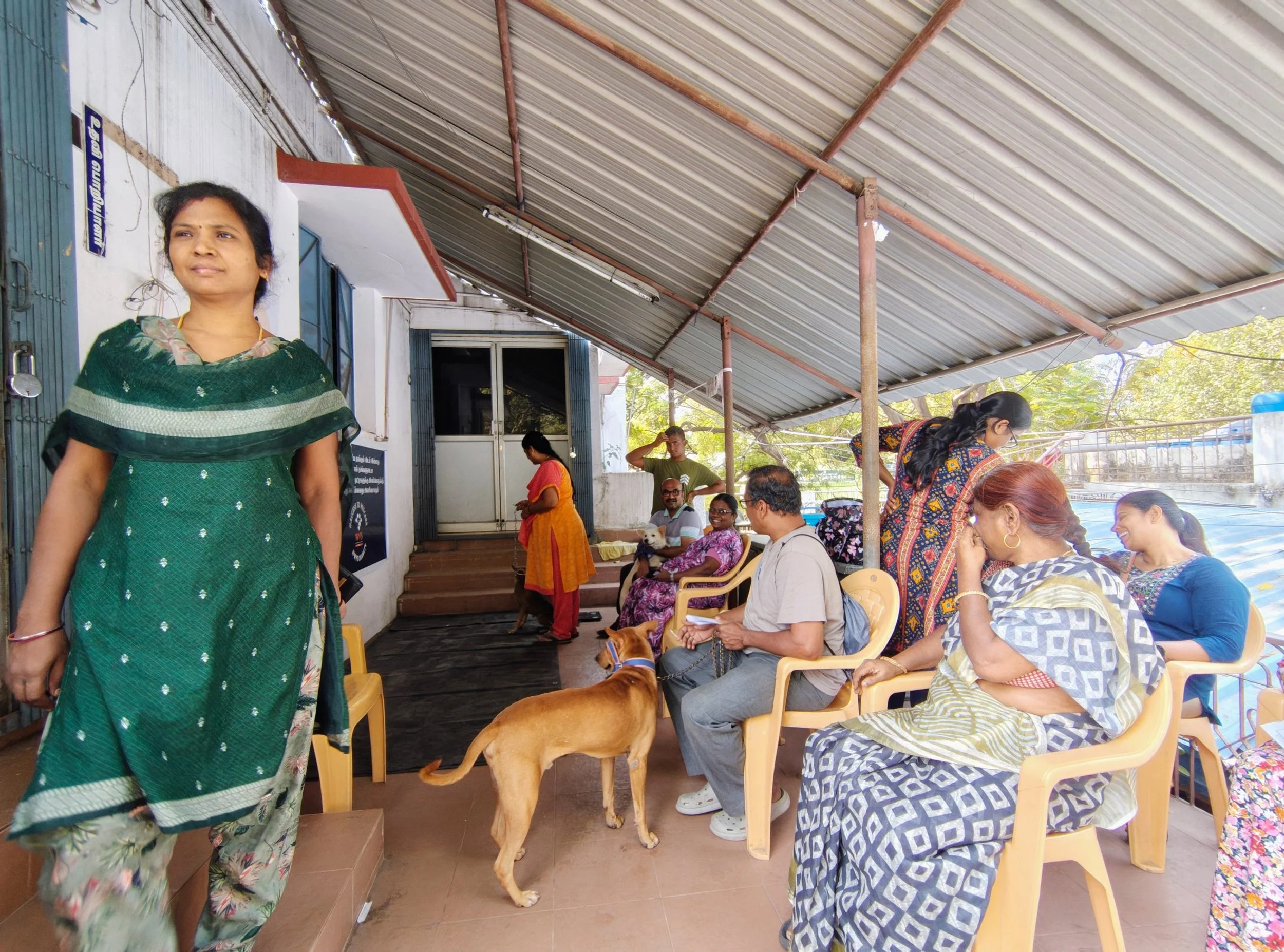 Second Popup Clinic February 2025, India, Animal Welfare International