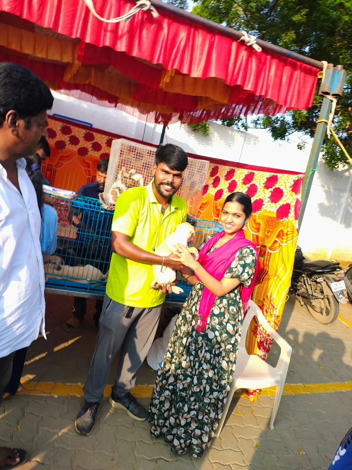 Adoption Drive Animal Welfare International