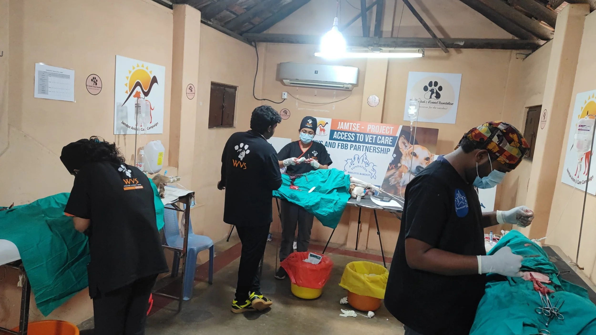 First Popup Clinic Summer 2024 India, Animal Welfare International