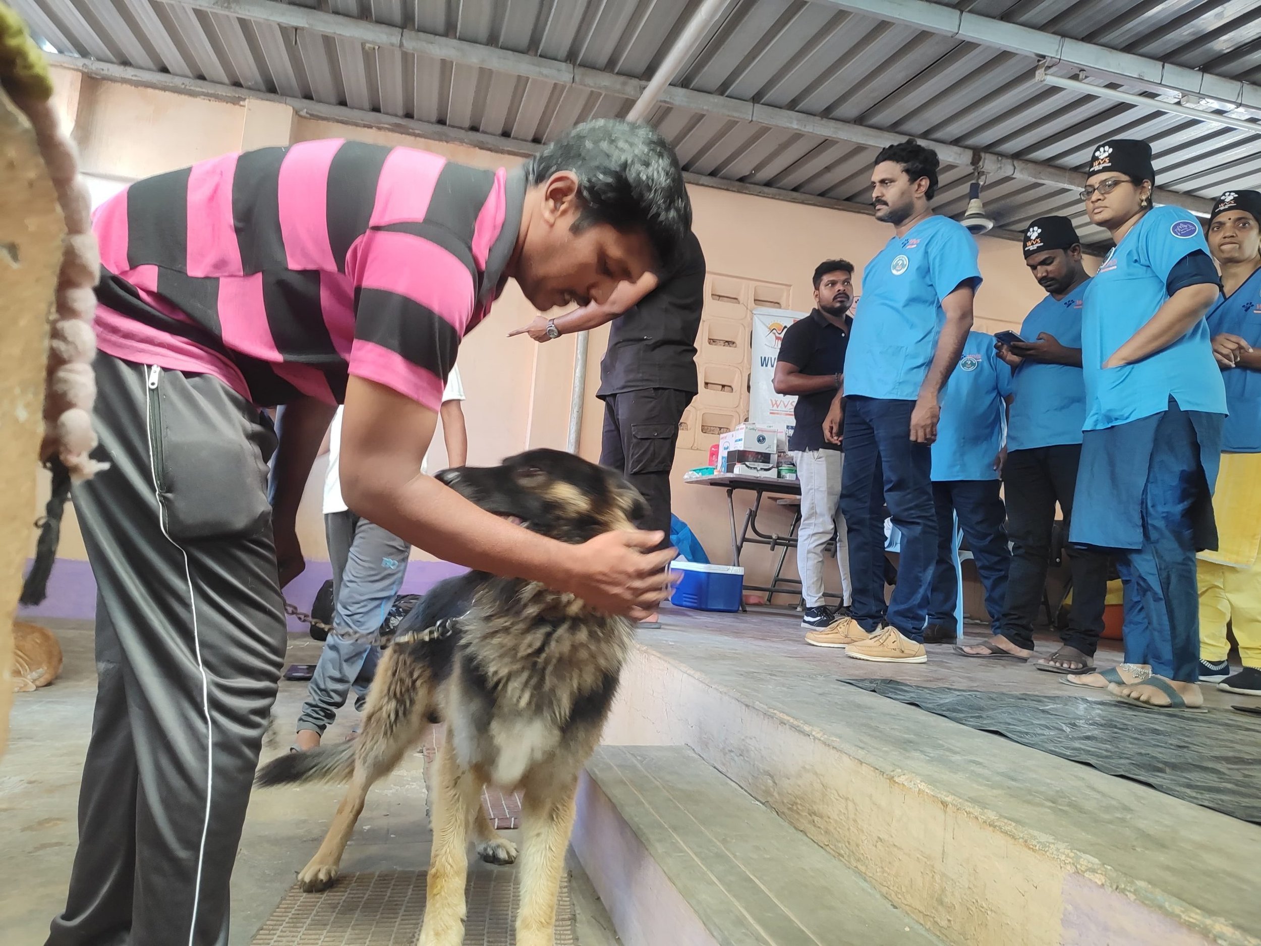 First Popup Clinic Summer 2024 India, Animal Welfare International