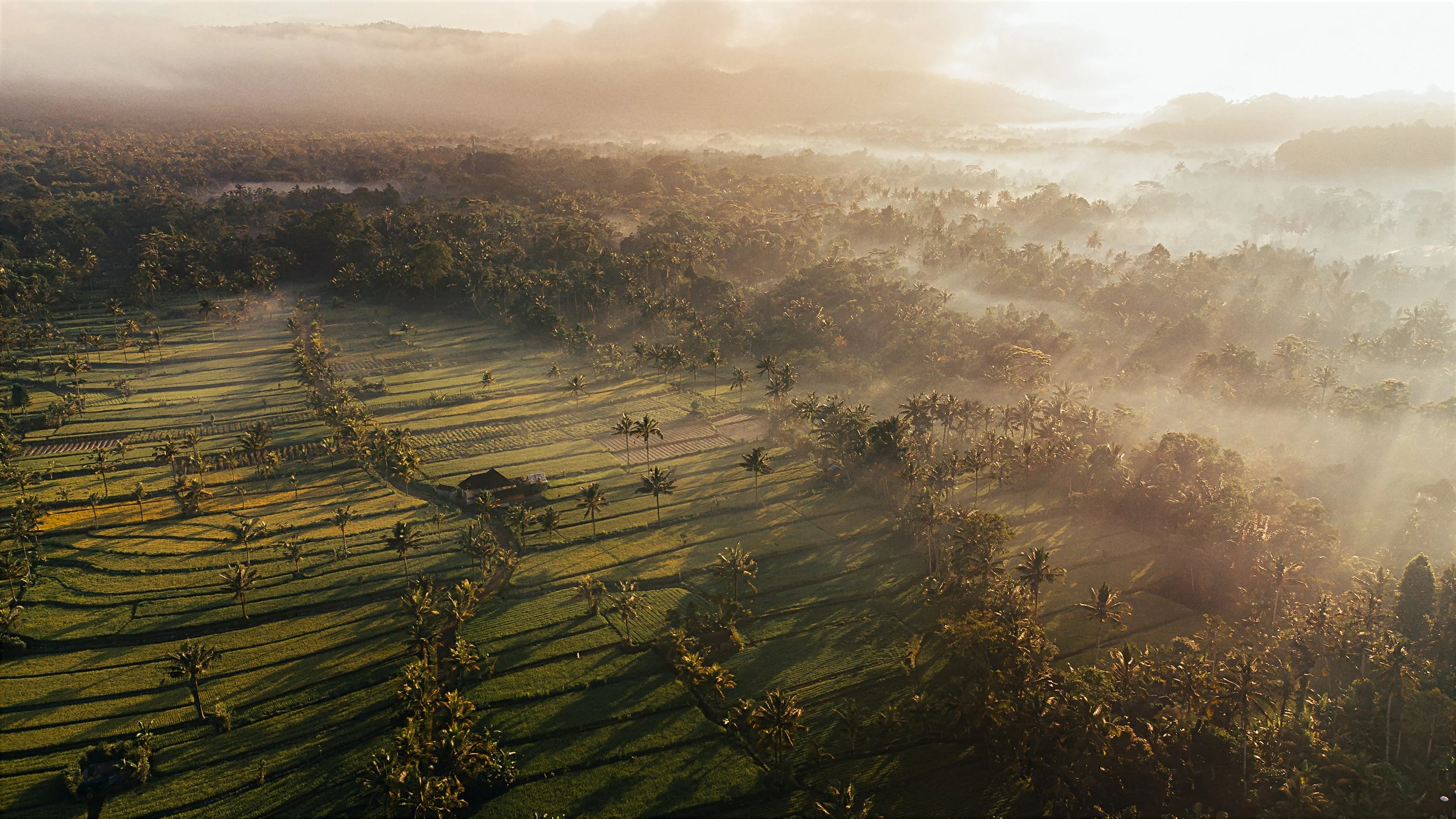 DJI_0495-Enhanced-NR1.jpg