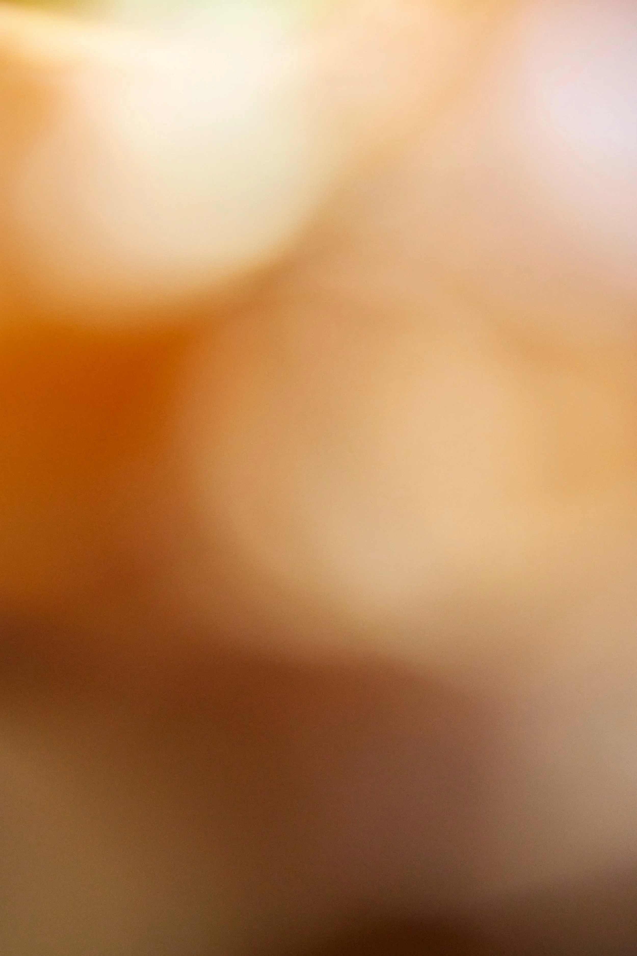 An image of warm colours in a blurred effect, this is more of a texture to add visual flair.