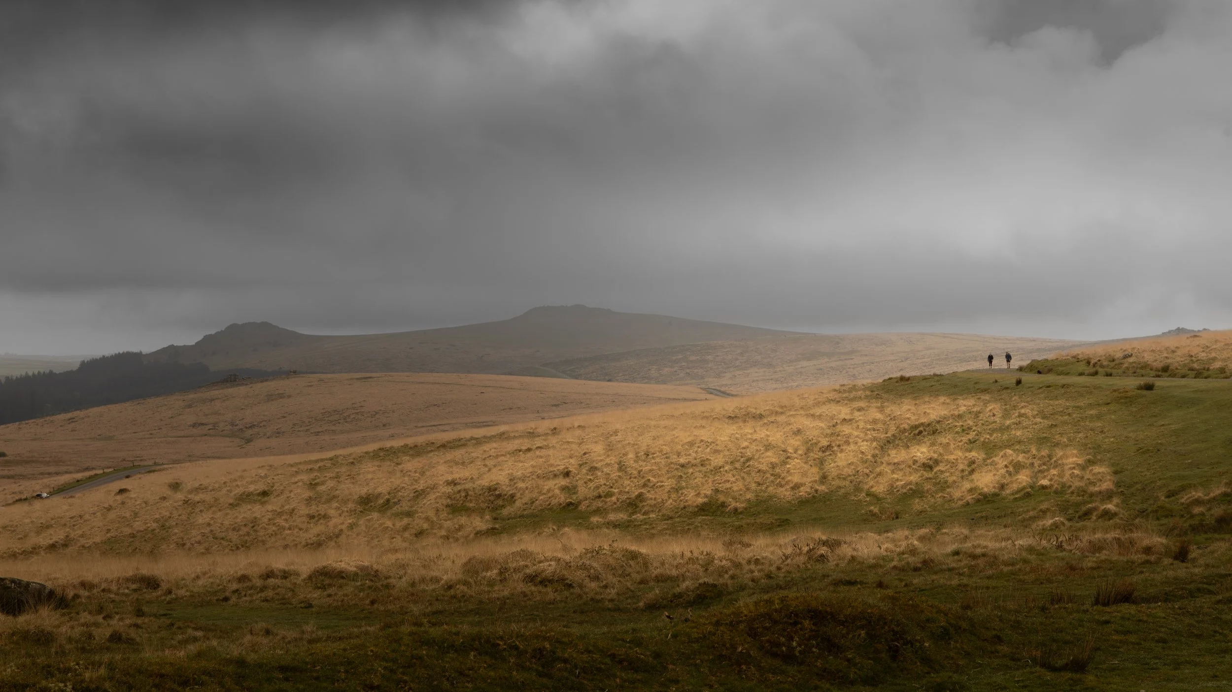 _MG_2390.jpg