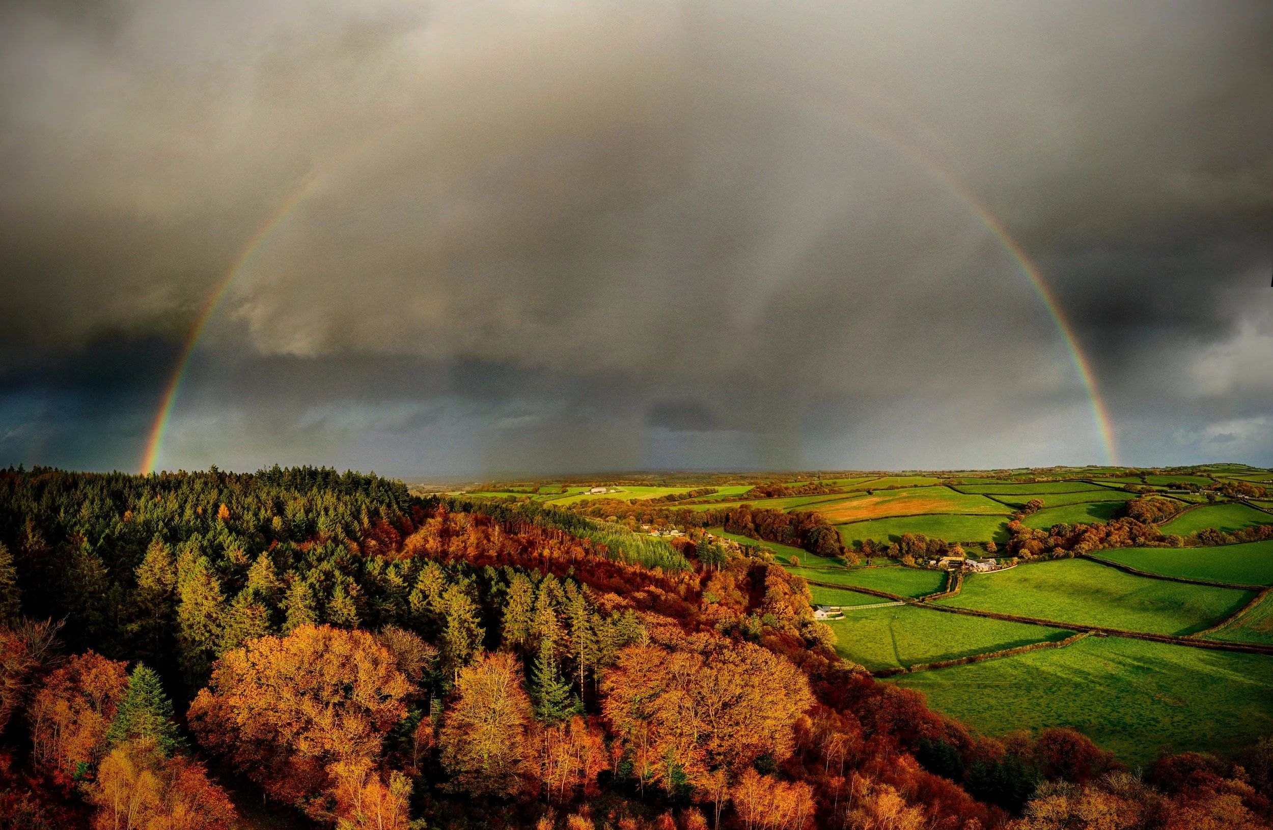 "Abbeyford Bow" A rainbow over Abbeyford Woods in Okehampton, Devon.