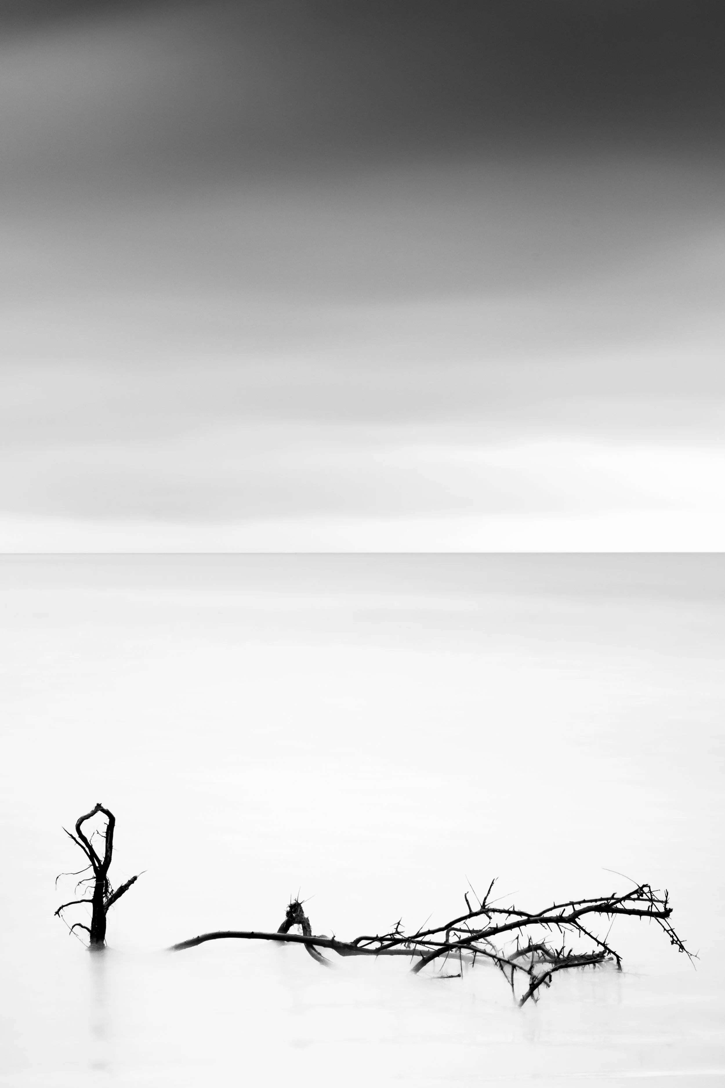 _MG_1678.jpg