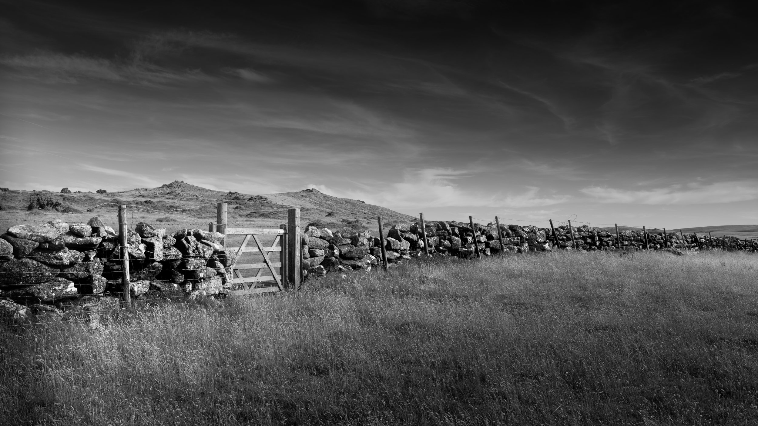 _MG_3073.jpg