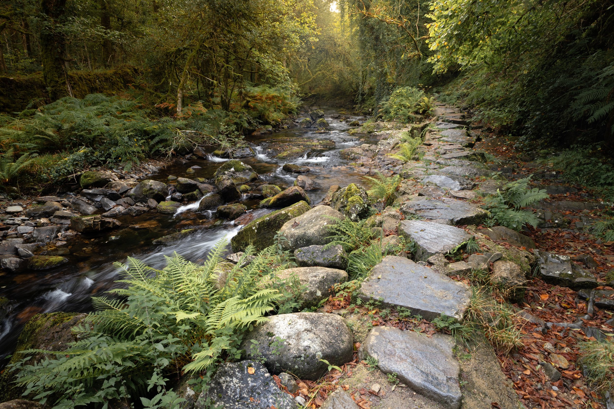_MG_4576.jpg