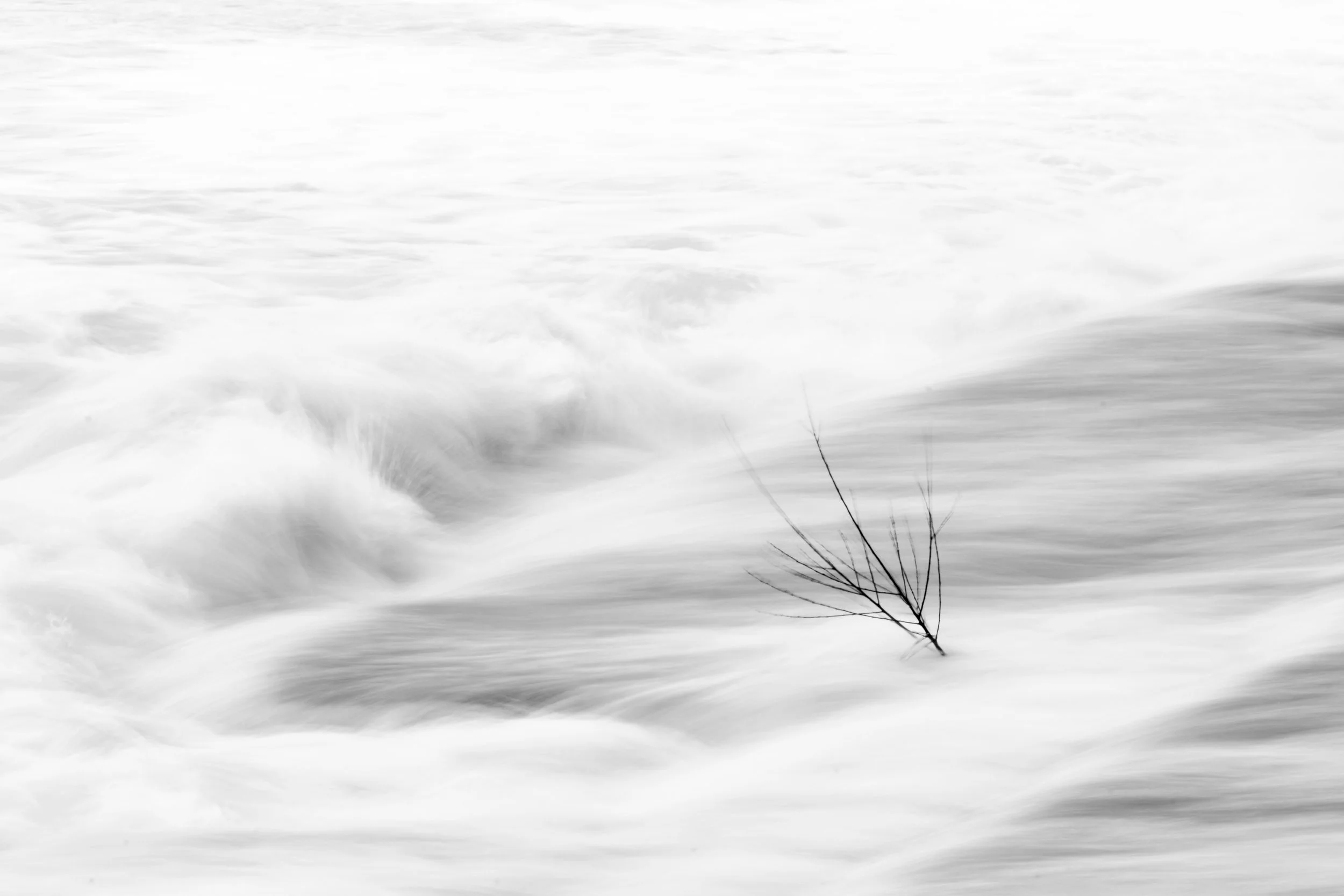 A small, leafless tree branch sticking out of the water amidst turbulent, foamy water in a monochrome scene.