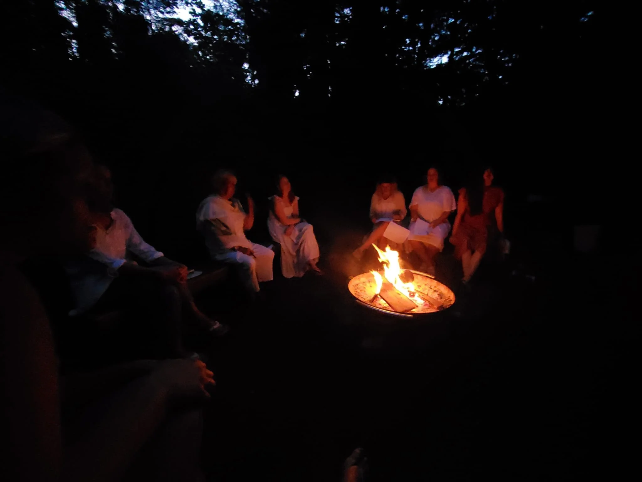 A group of people sitting around a fire outdoors at night, with trees in the background.
