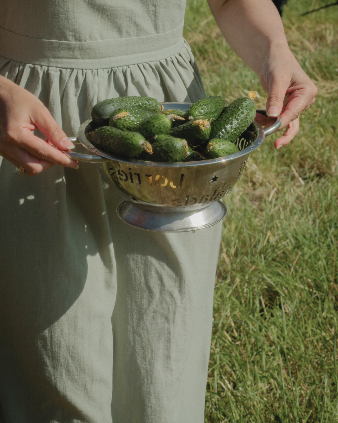 Person holding a colander filled with small cucumbers in a grassy outdoor setting.