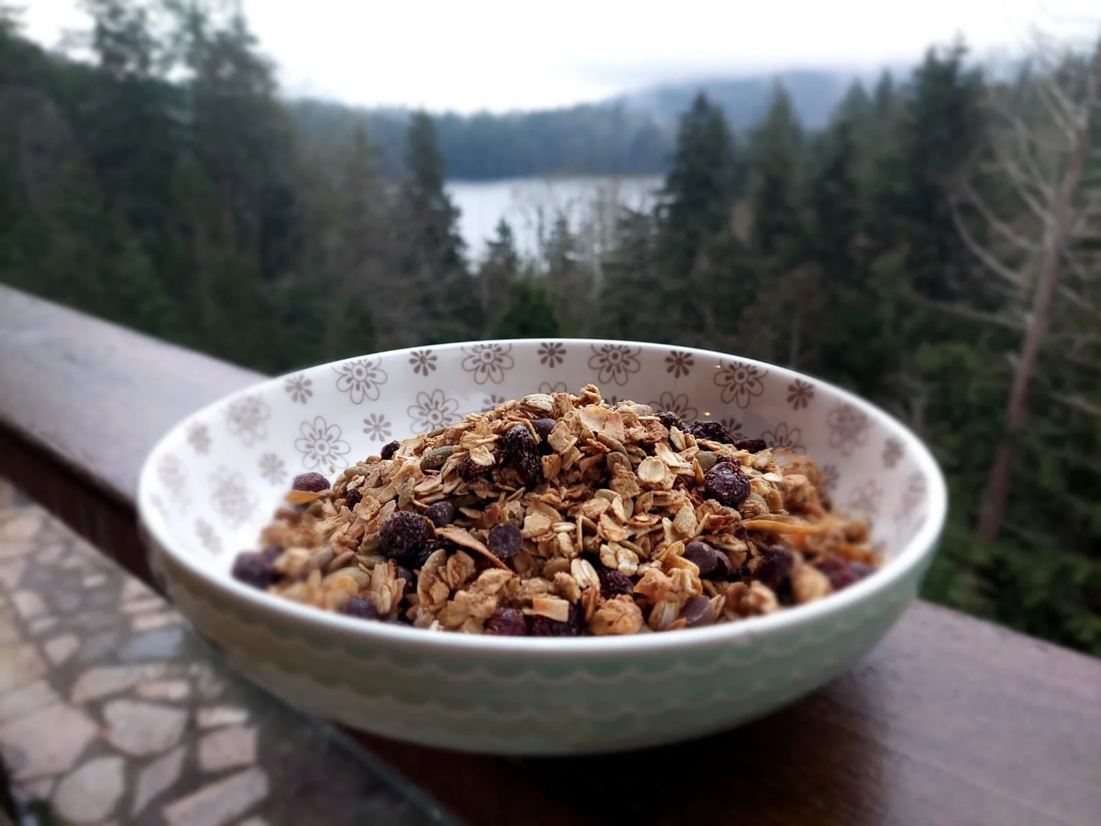 A bowl of granola with dried berries on a wooden surface outdoors, with a view of trees, a lake, and mountains in the background.