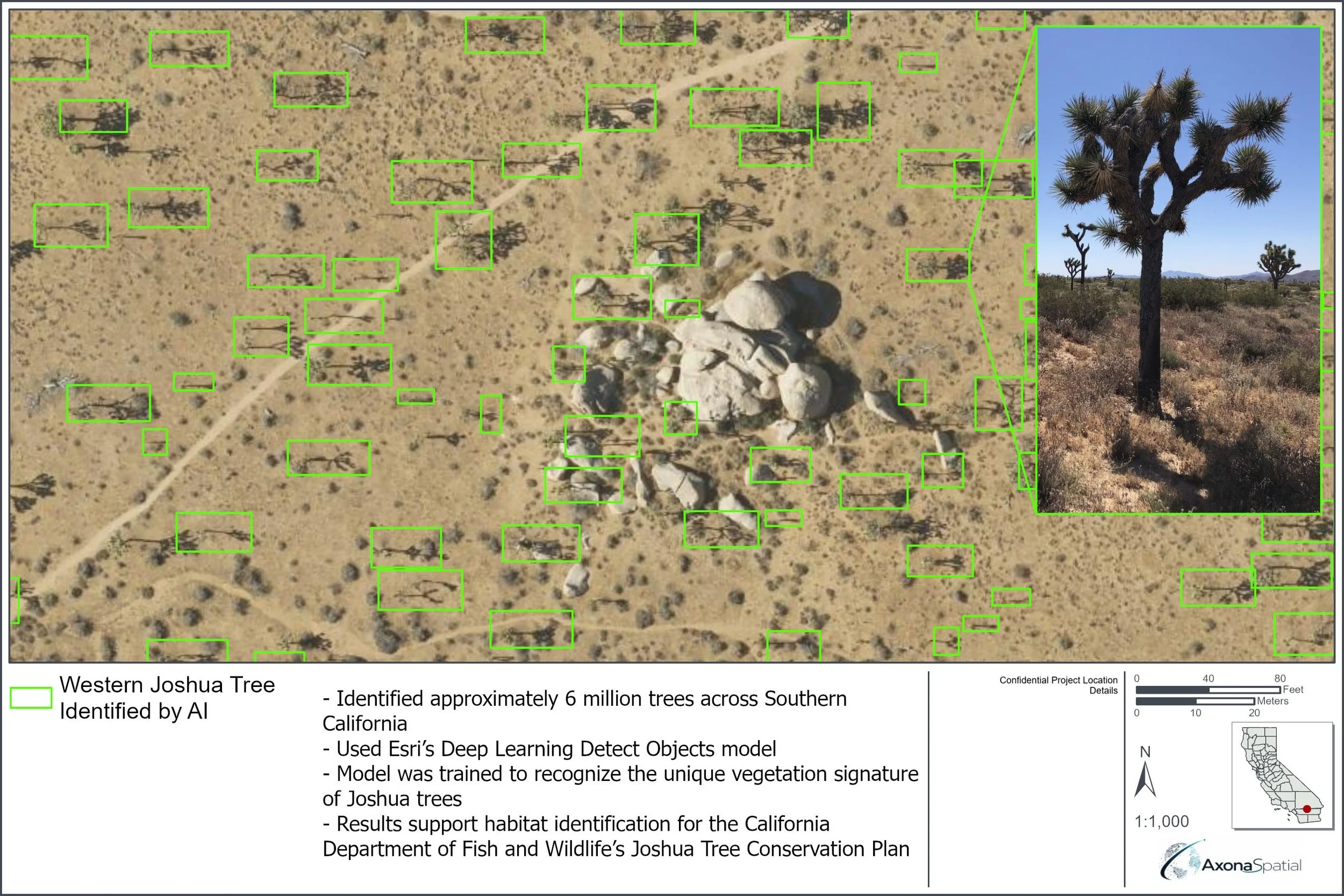 VEGETATION IDENTIFICATION WITH AI