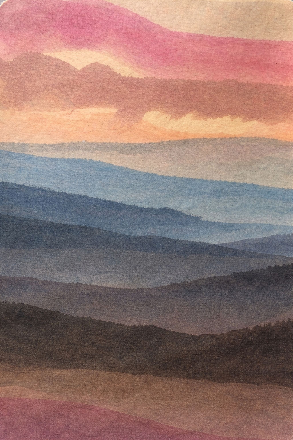 Polaroid artistic picture of a colorful field.