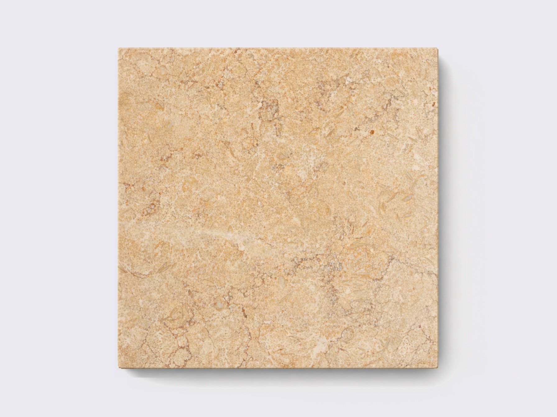 Silvia Marble