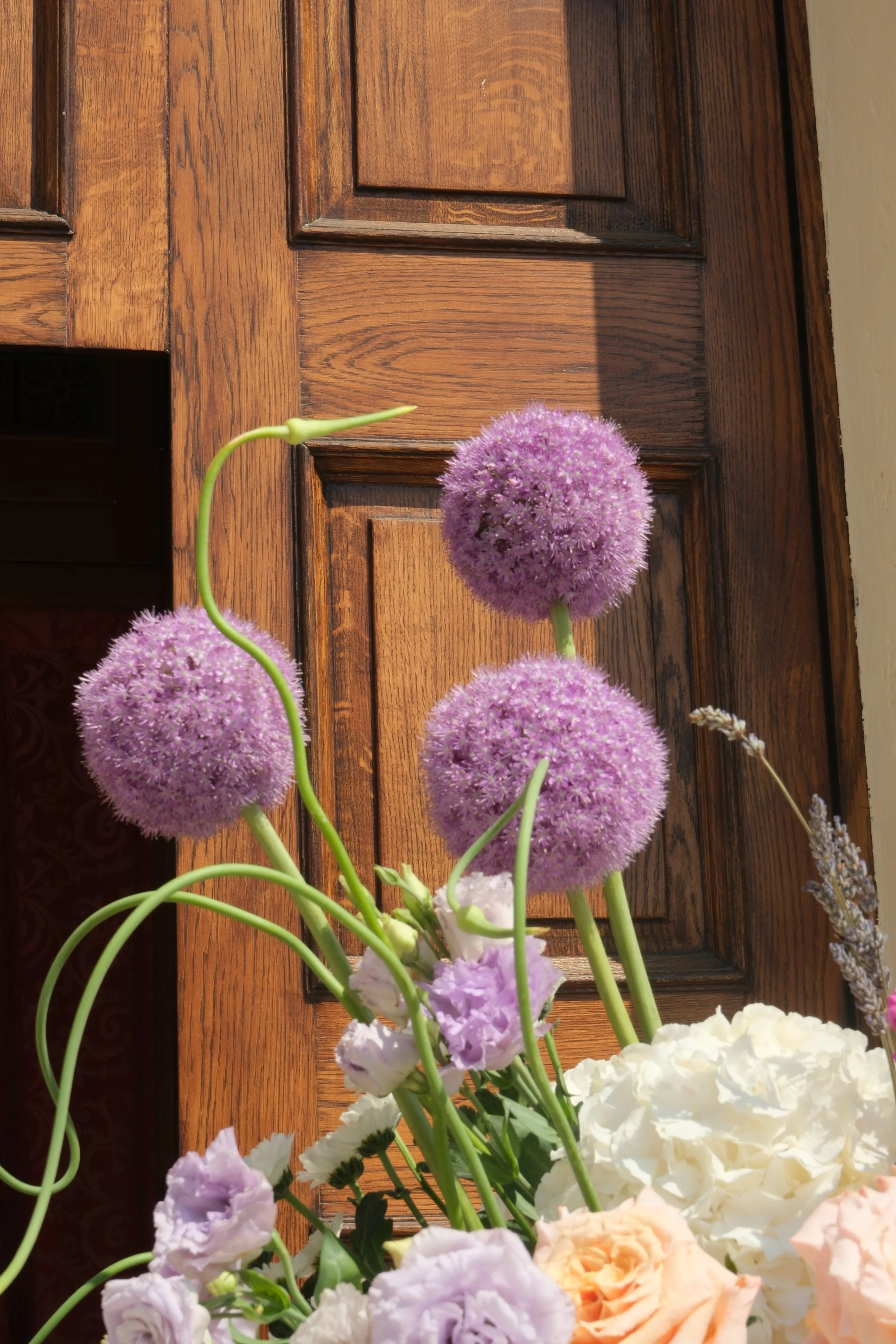 DSCF7021.JPG