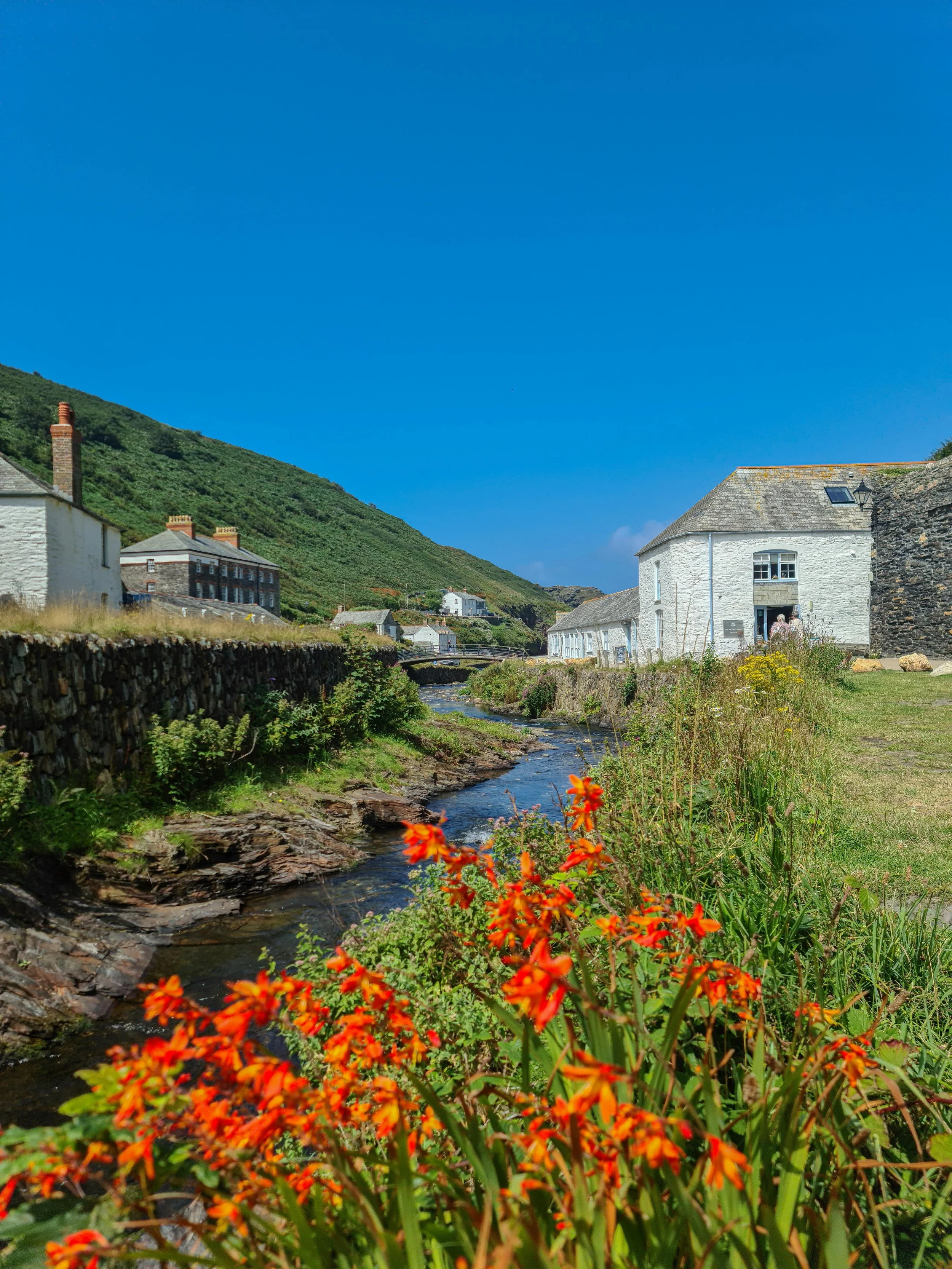 A scenic view of a small town with white houses, a narrow creek, orange flowers in the foreground, green hillside, and a blue sky.