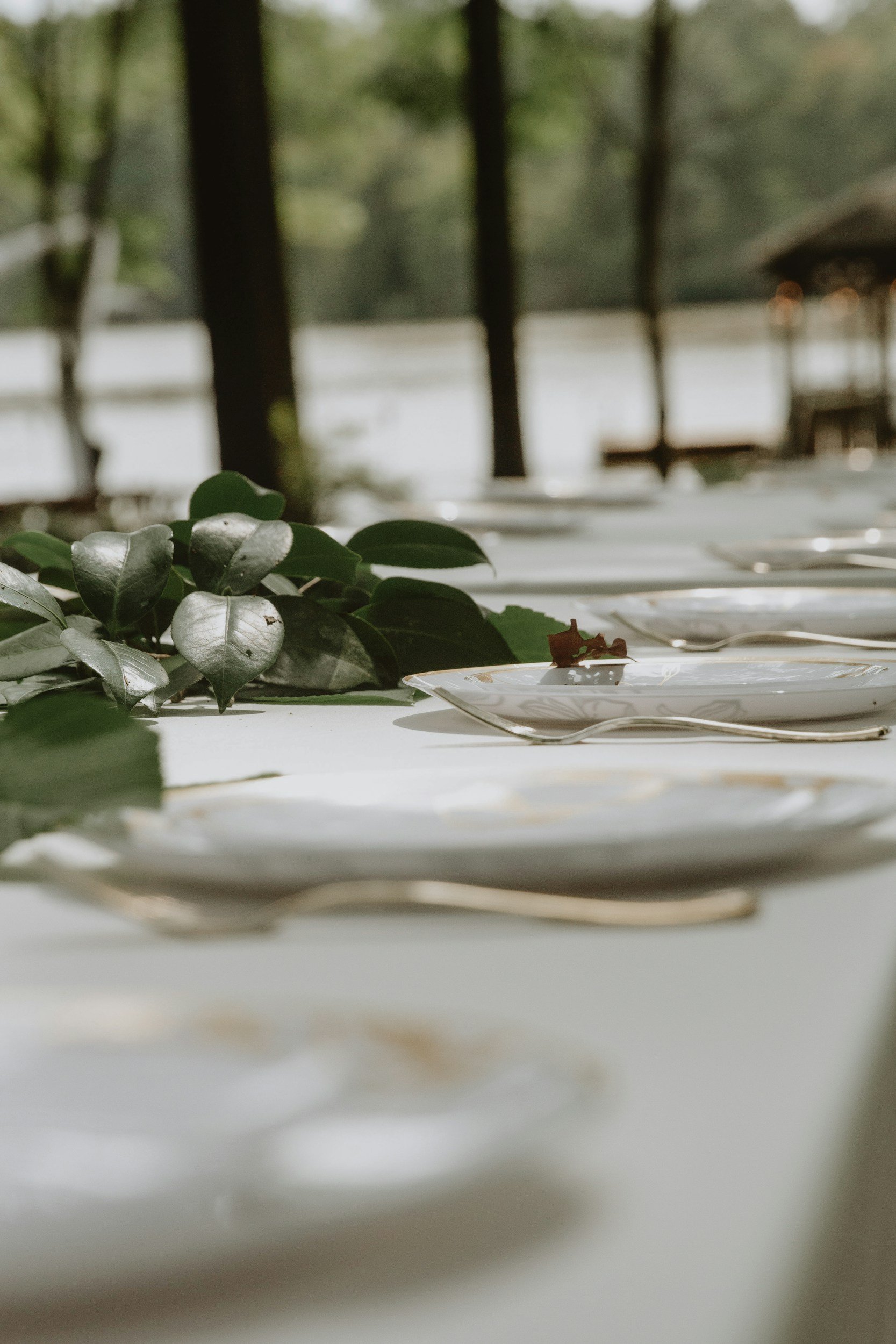 A long outdoor table set with white plates and silverware, accented by green leaves, in a natural setting near a body of water with trees in the background.