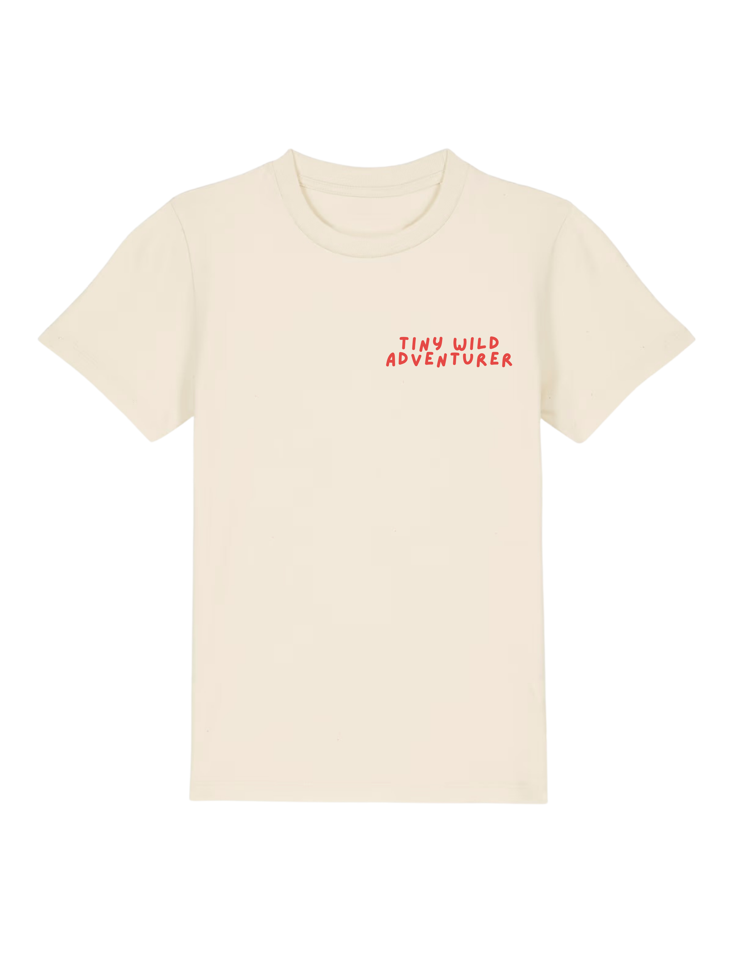 13.png
