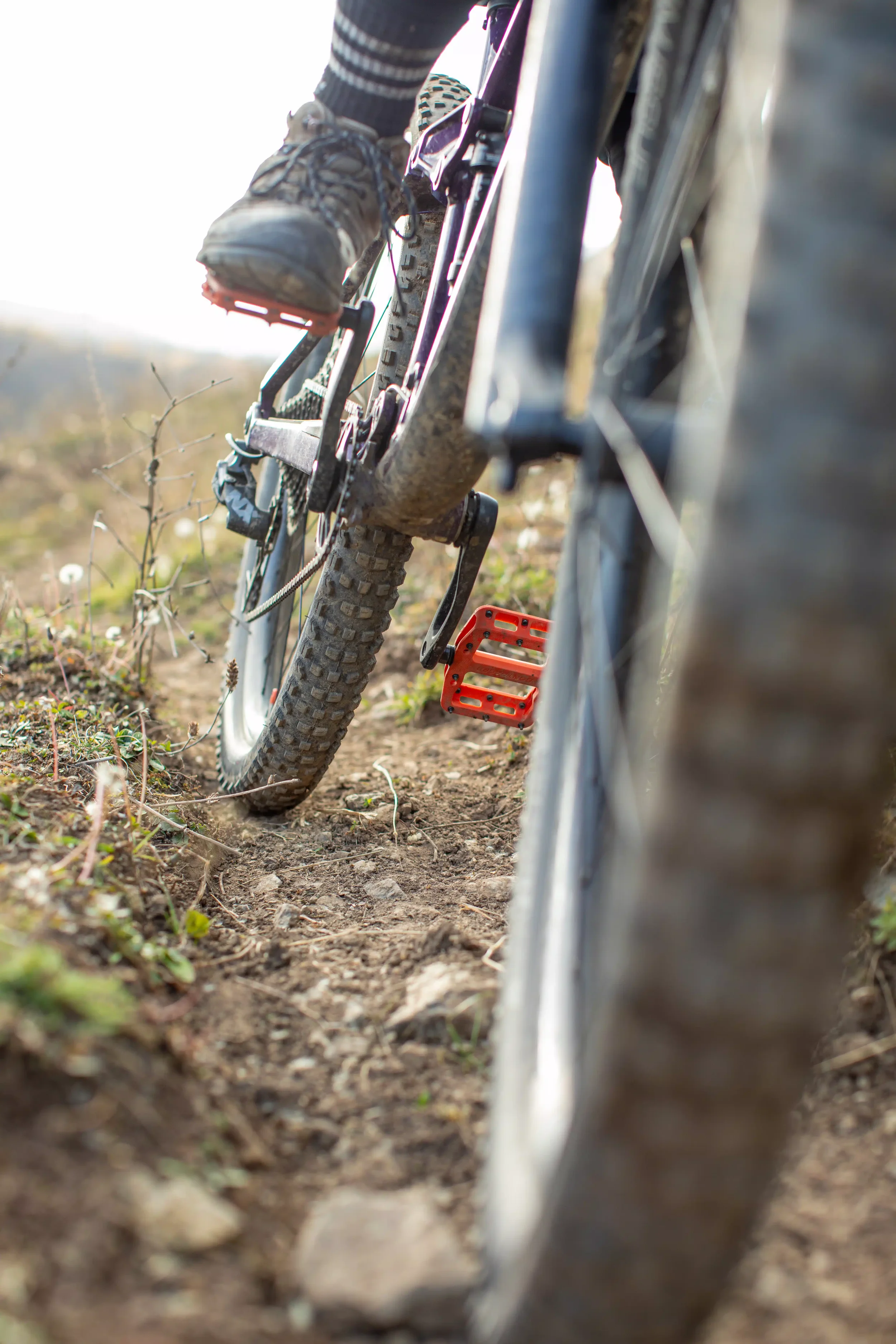 Artek MTB Trail