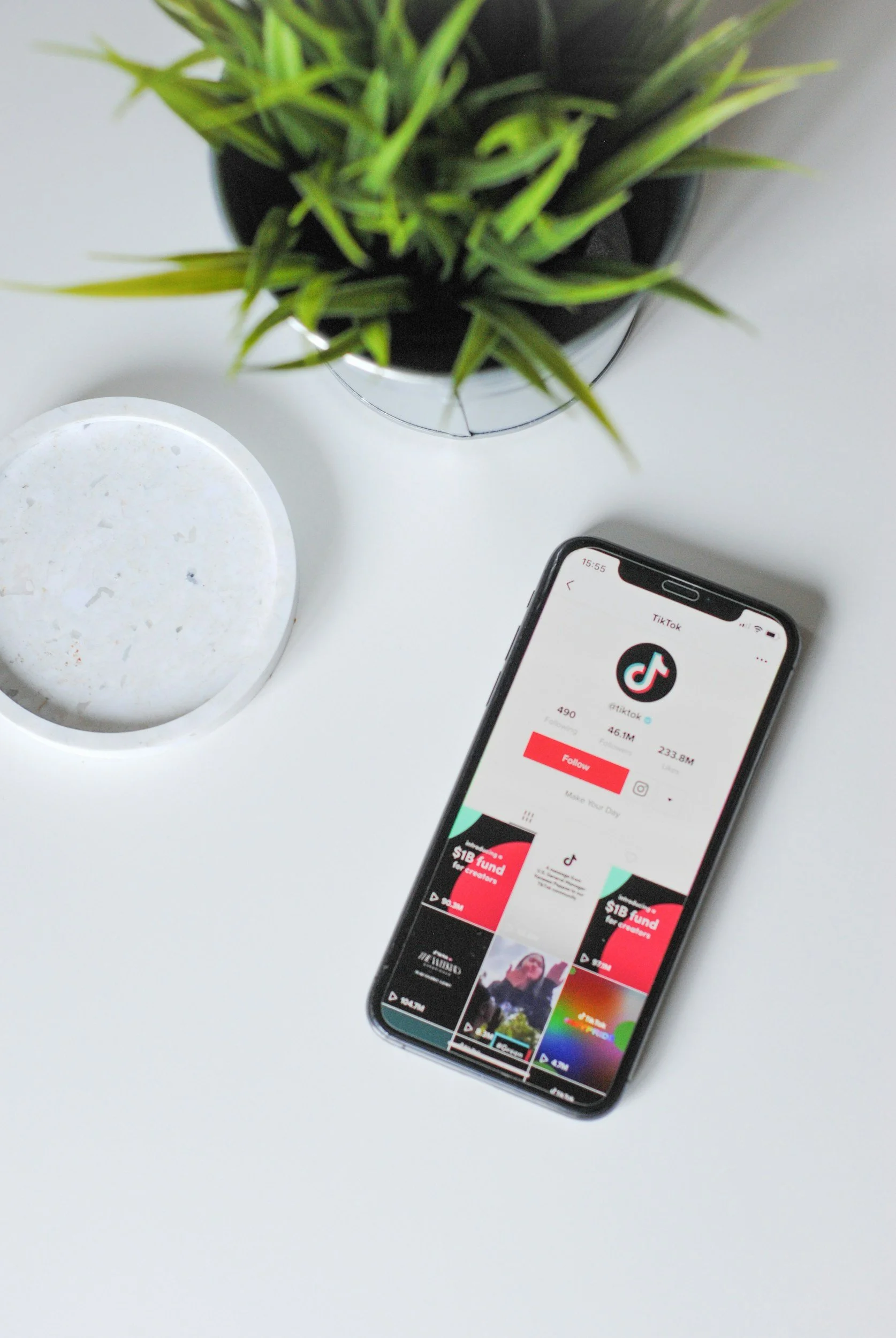 A smartphone on a white desk displays the TikTok app, with video thumbnails visible. Next to the phone is a white plate and a potted green plant.