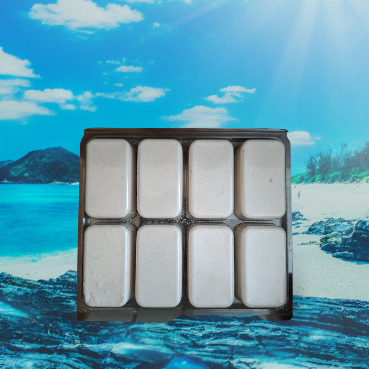 Burst of Sunshine toilet, mop & sink fizzers