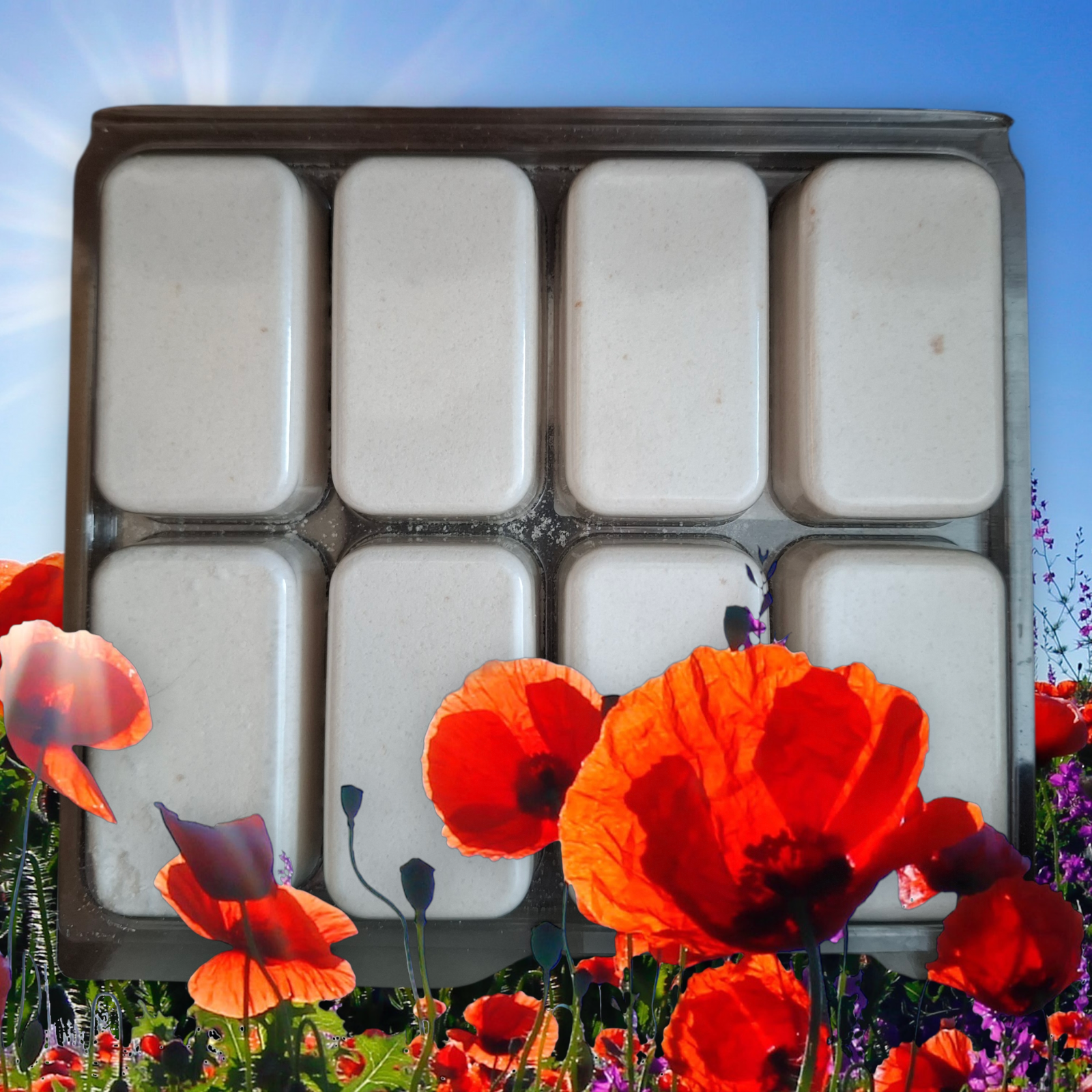 3 witches toilet, mop & sink fizzers