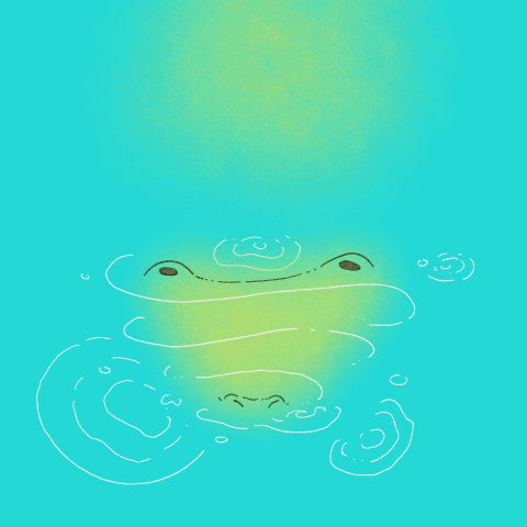 IMG_1846.GIF