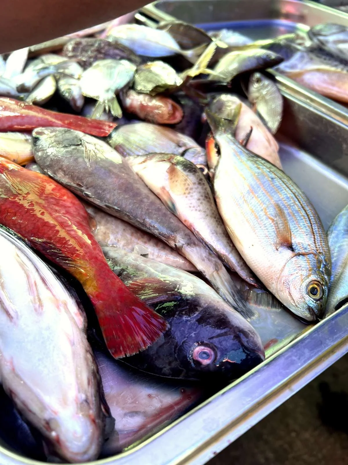 A metal tray of fresh whole fish and prawns at a fishmonger's counter.