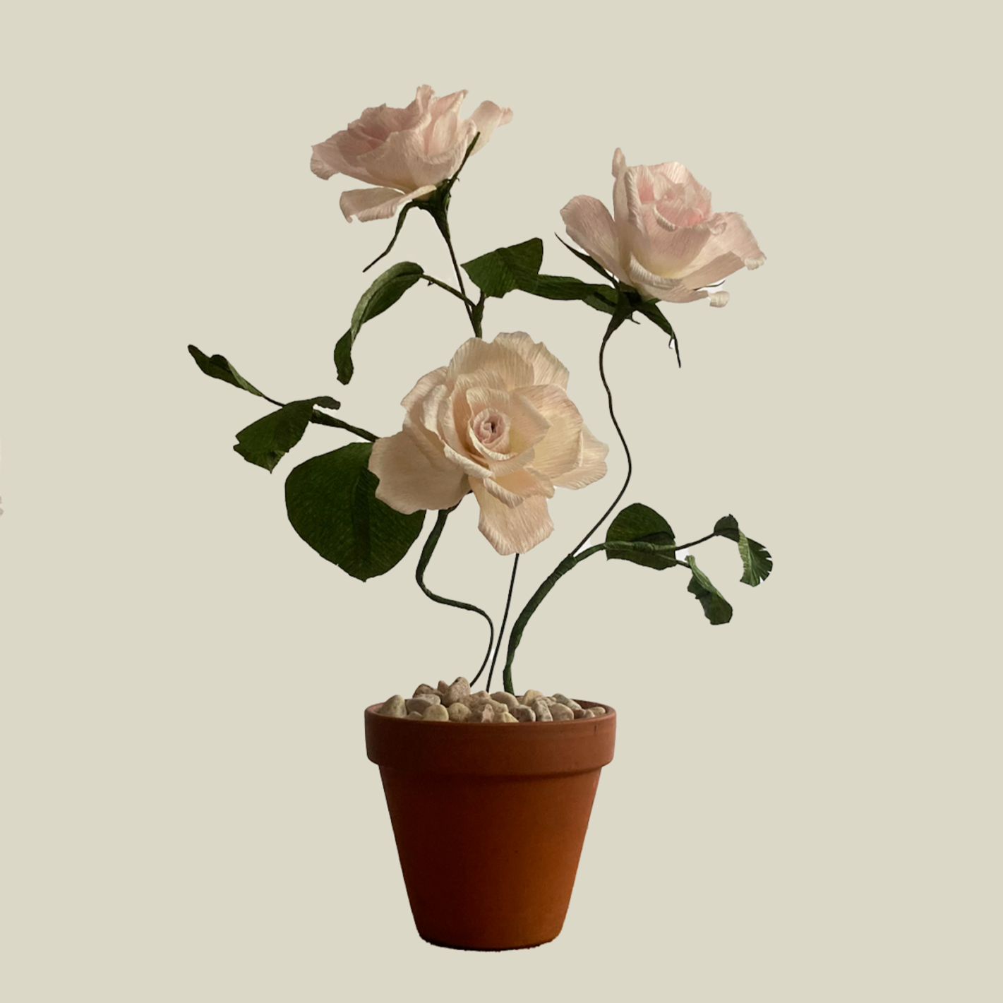 Paper Flowers