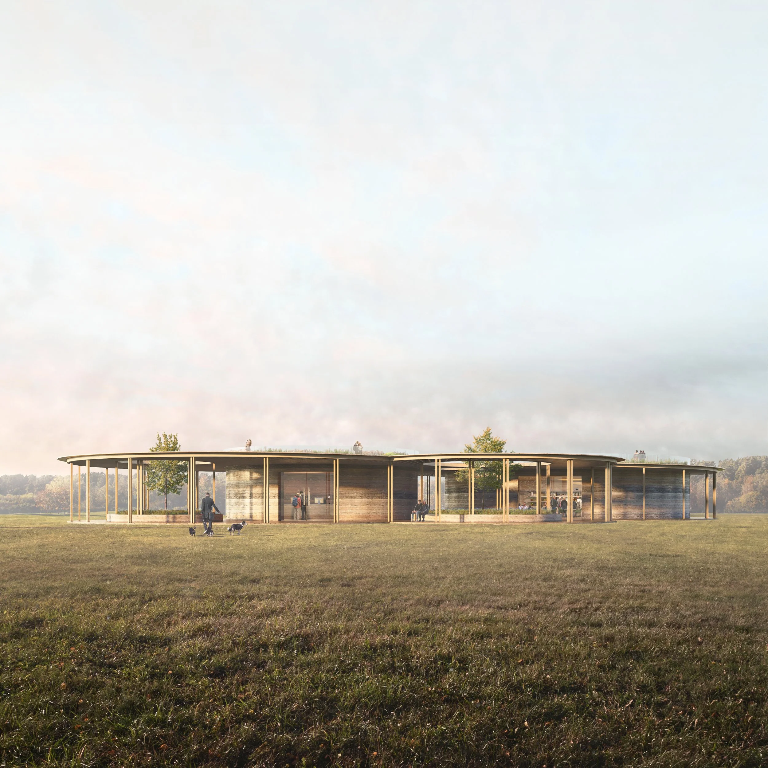 Pavilion For All_Meadow.jpg