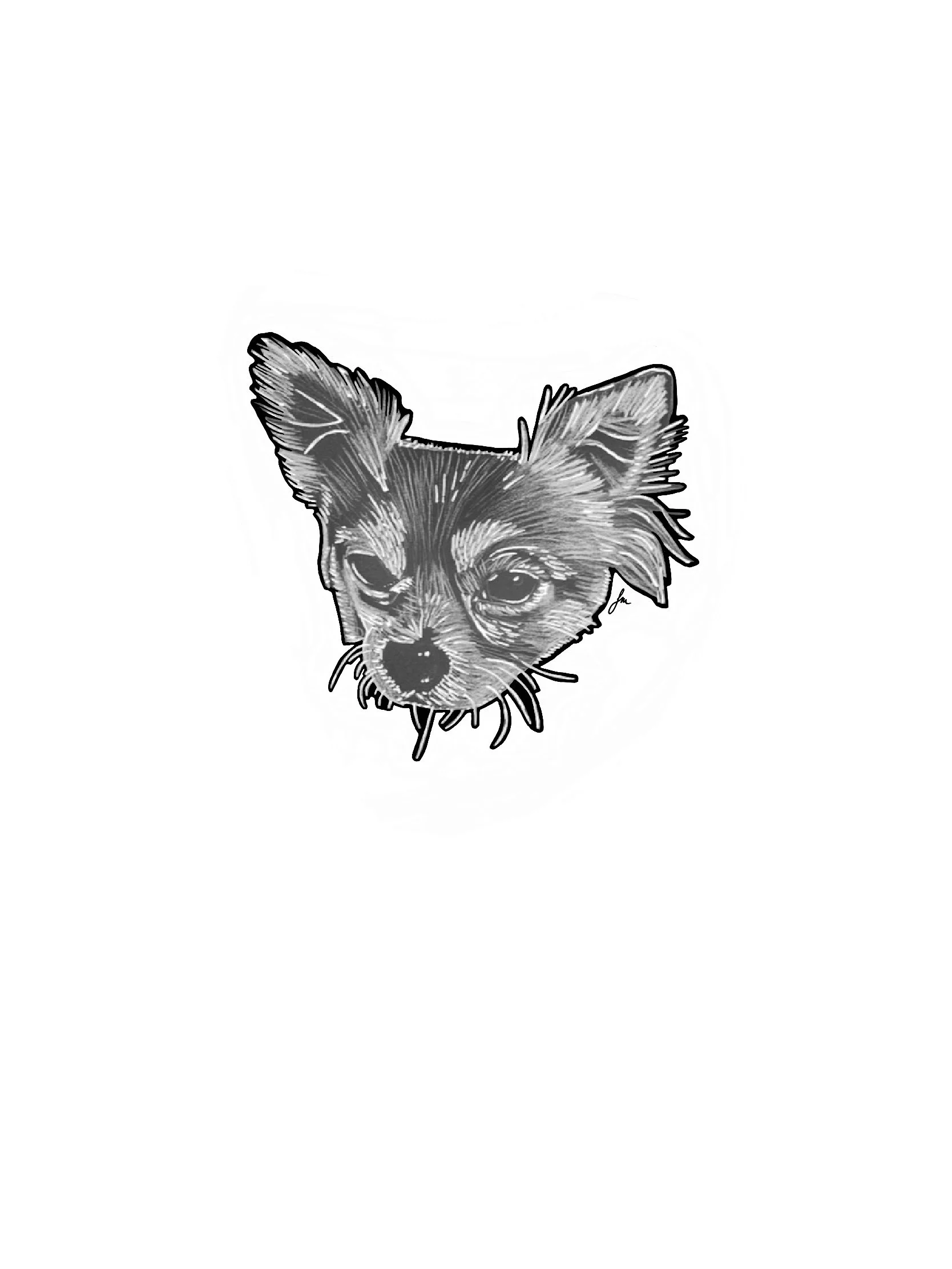 Dog Series - Chihuahua - A4 Print