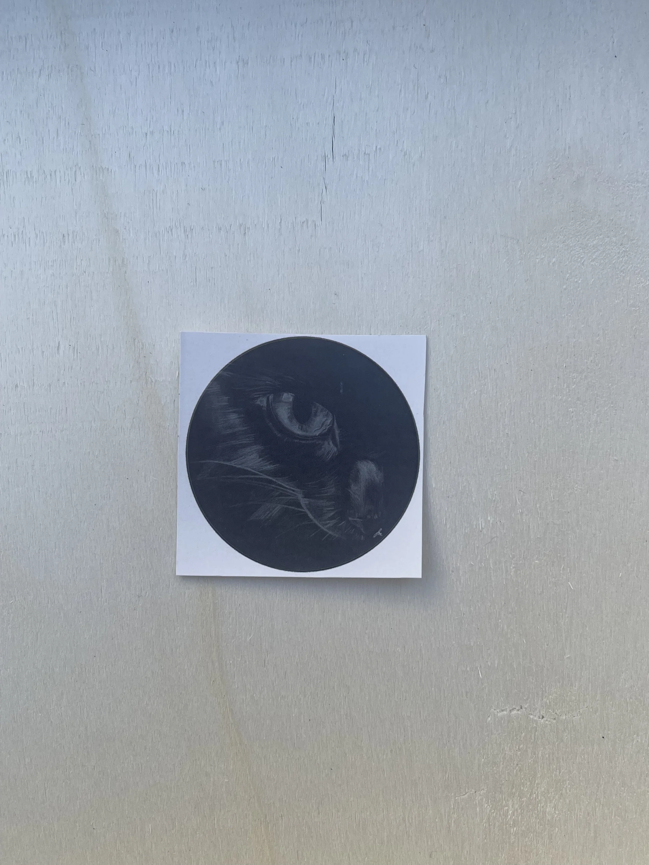Circular Sticker - Black Cat