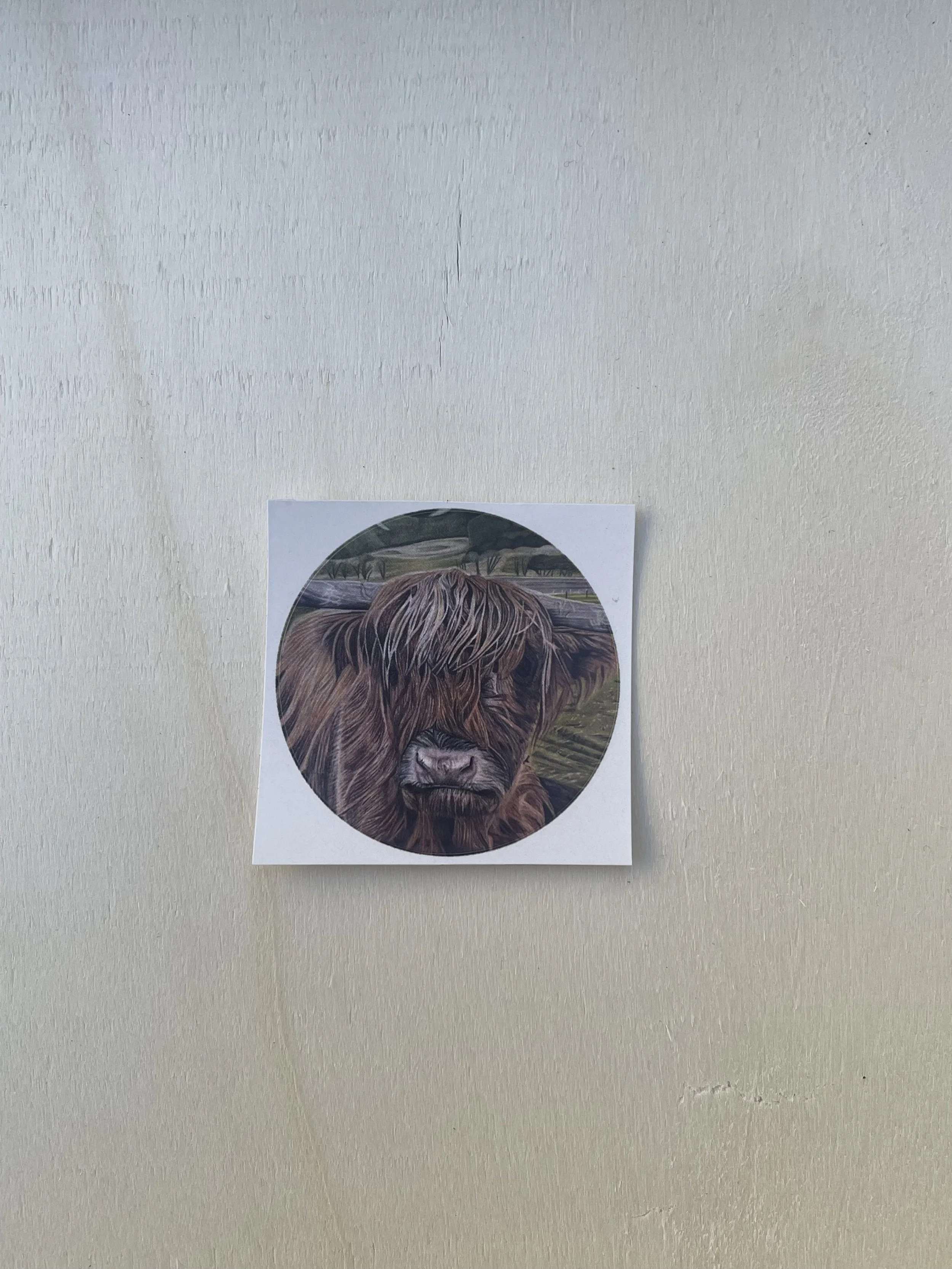 Circular Sticker - Bo Ghaidhealach (Highland Cow)