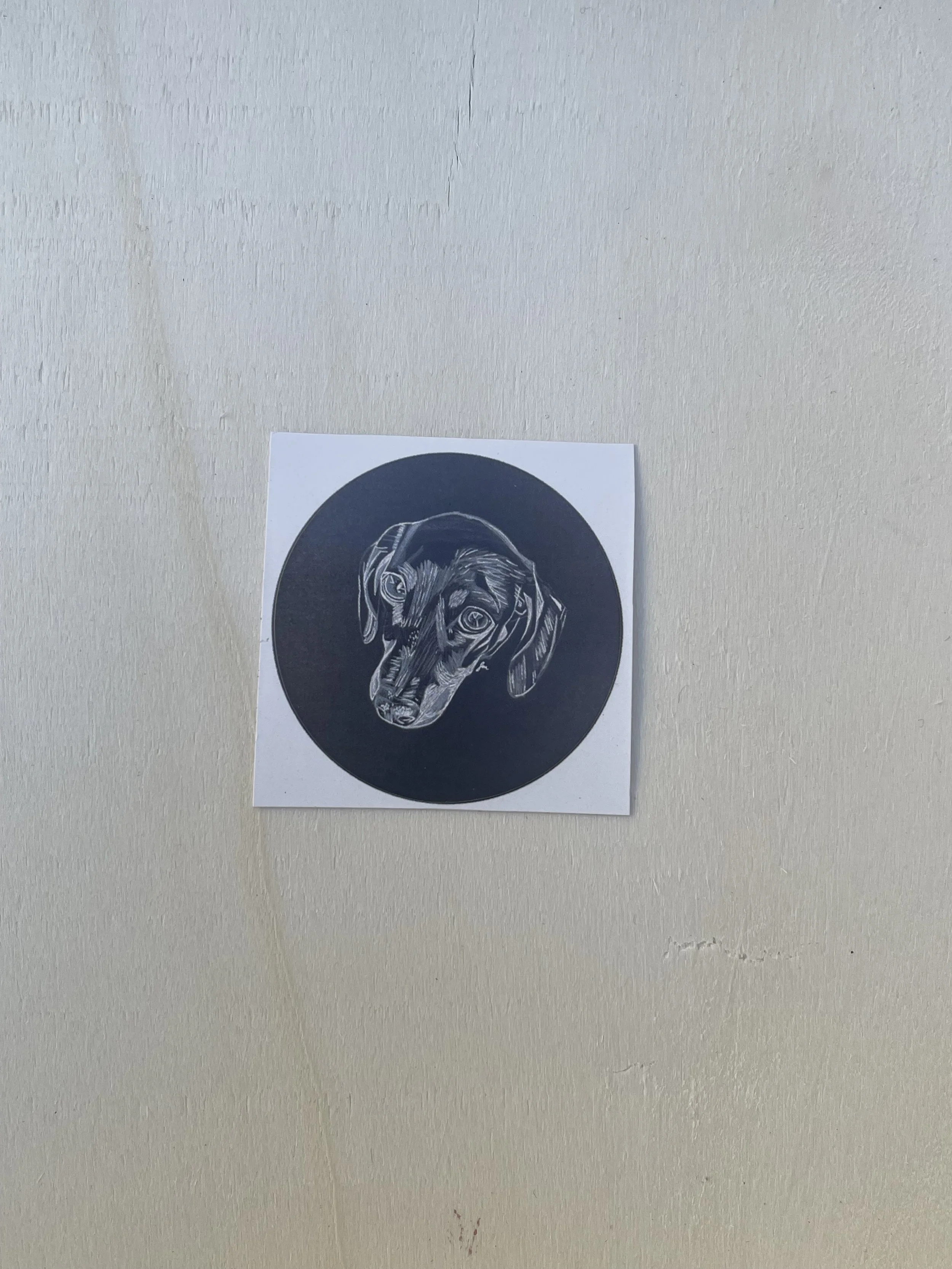 Circular  Sticker - Dachshund