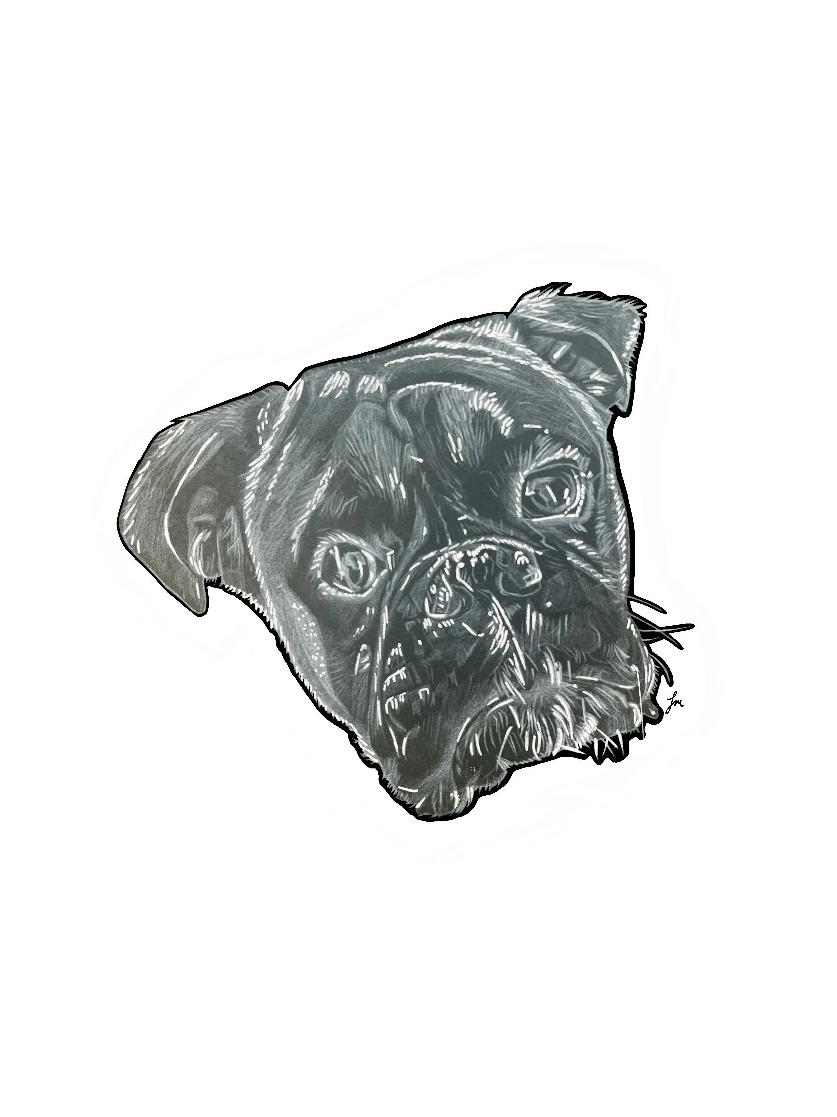 Dog Series - Boxer - A4 Print