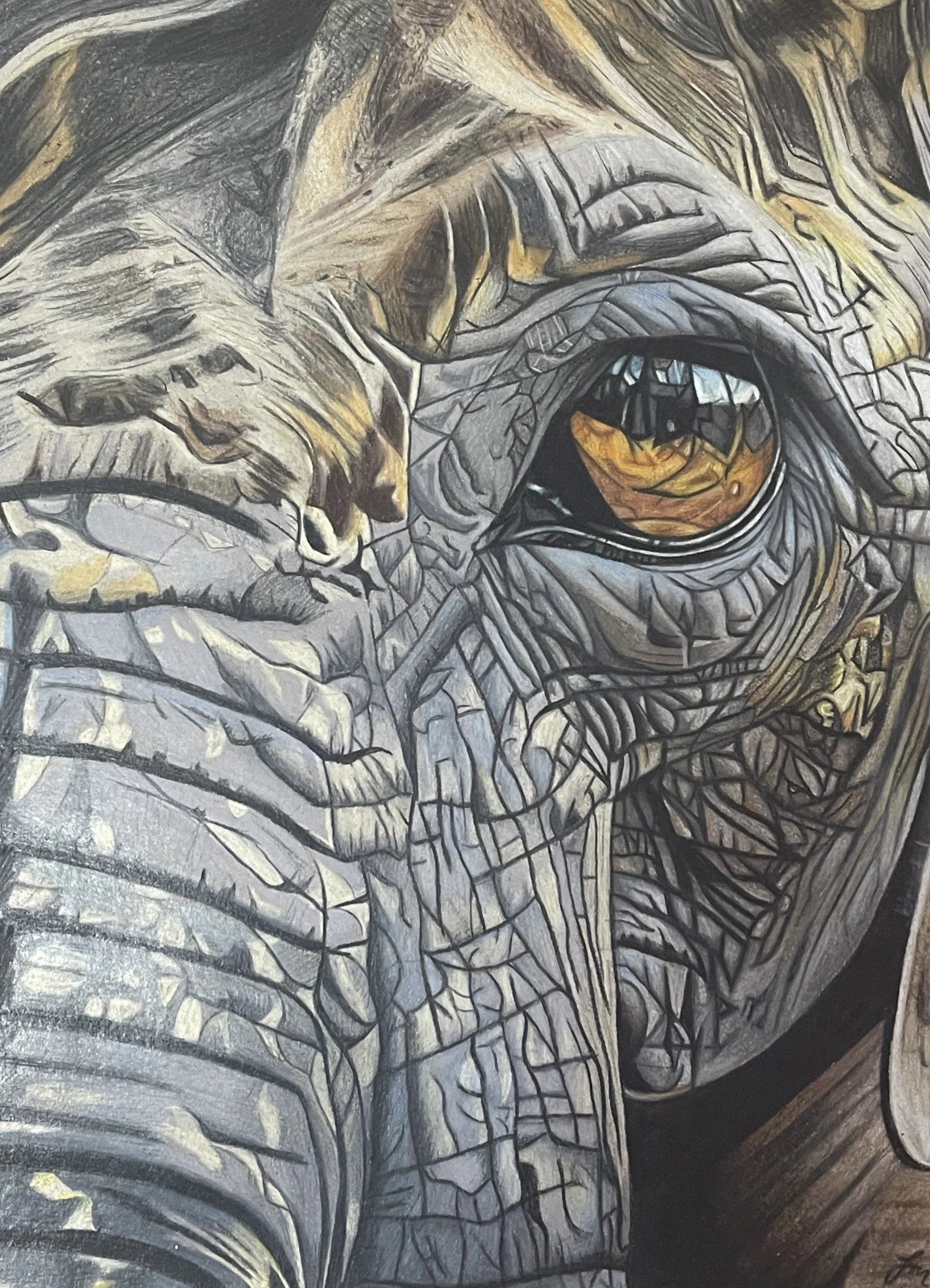 Close-up of a detailed mural featuring a large elephant's face with an eye reflecting a sunset scene with birds and trees, painted in earthy tones and intricate lines.