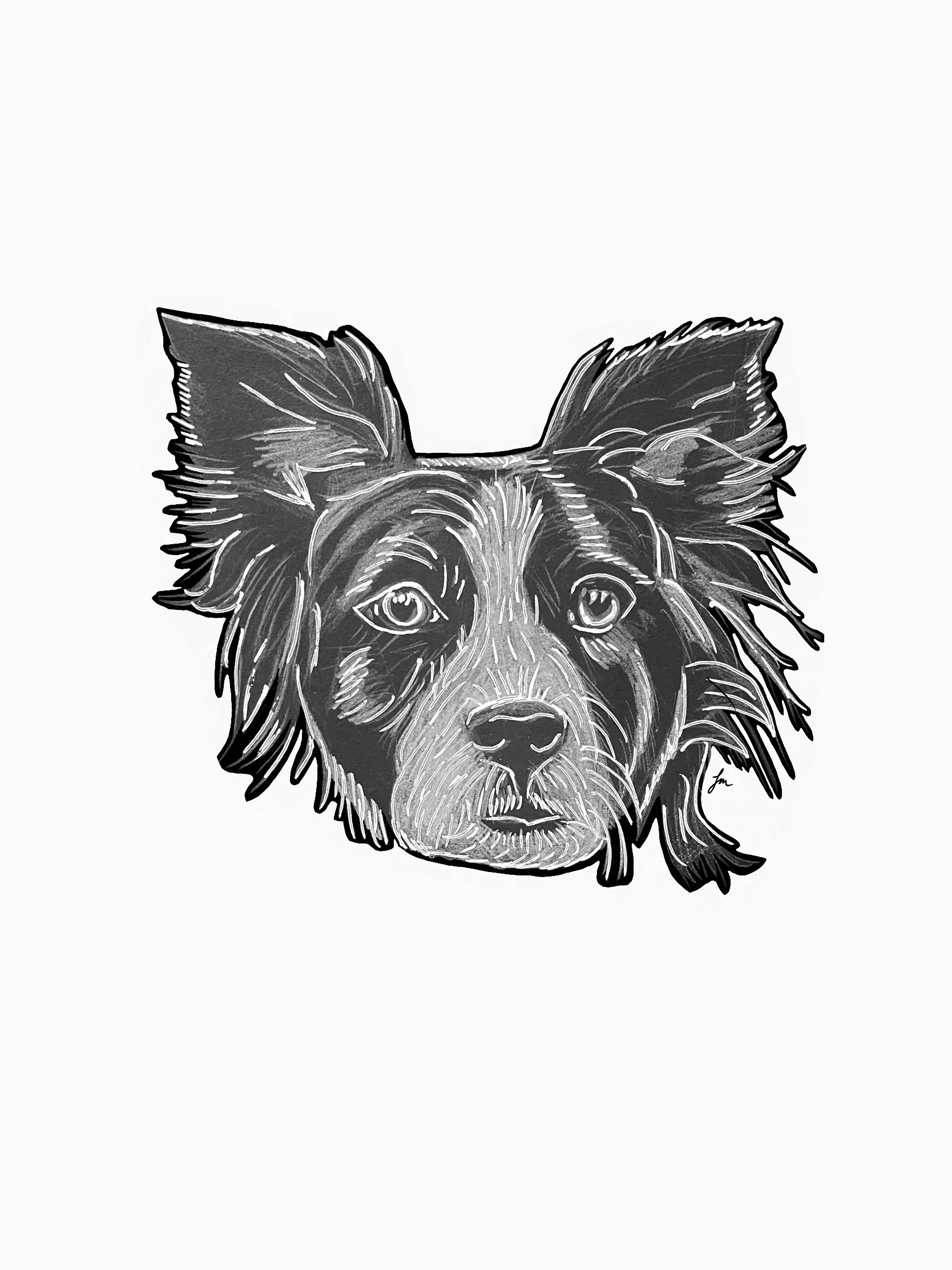 Dog Series - Border Collie - A4 Print