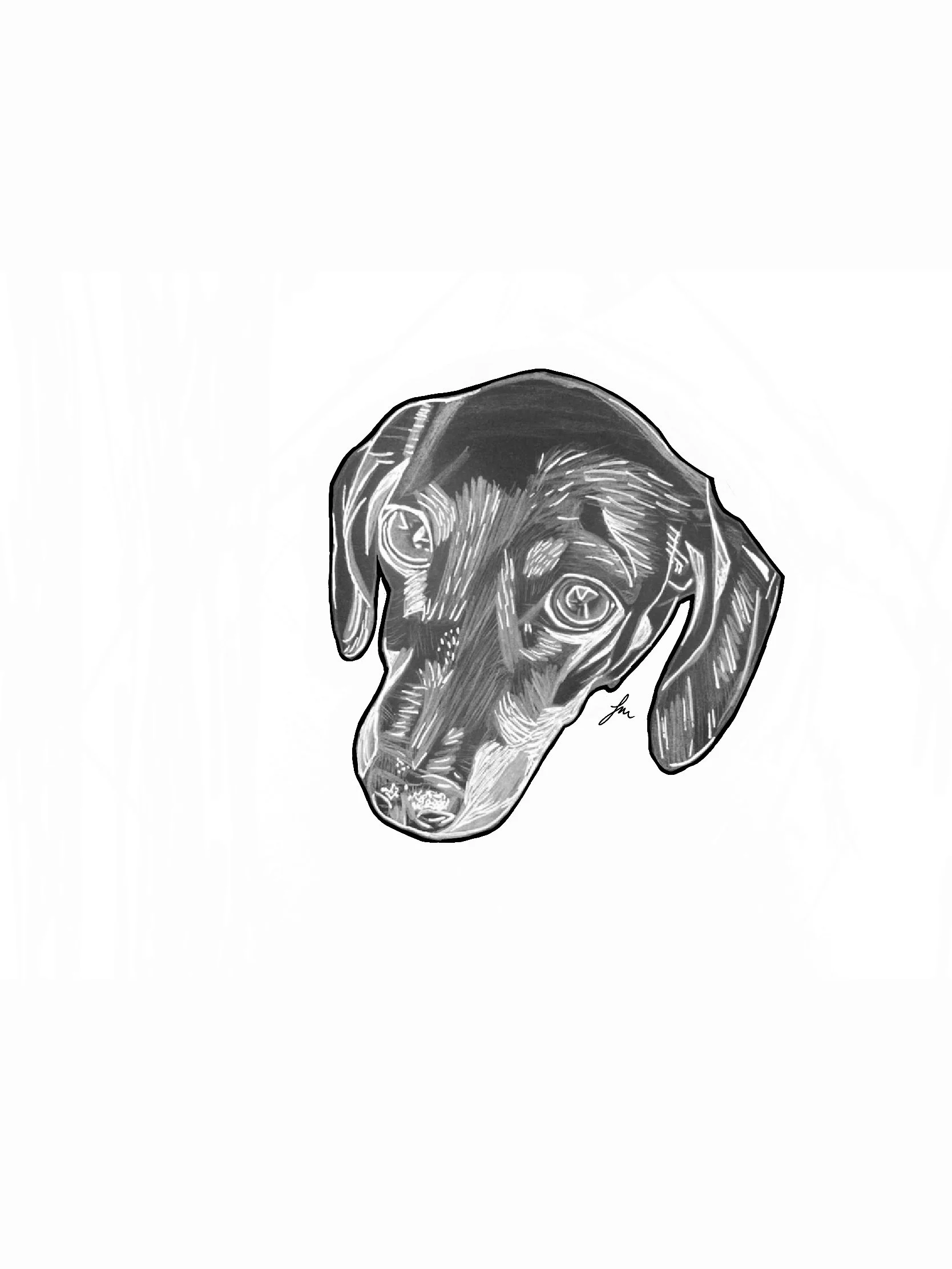 Dog Series - Dachshund - A4 Print