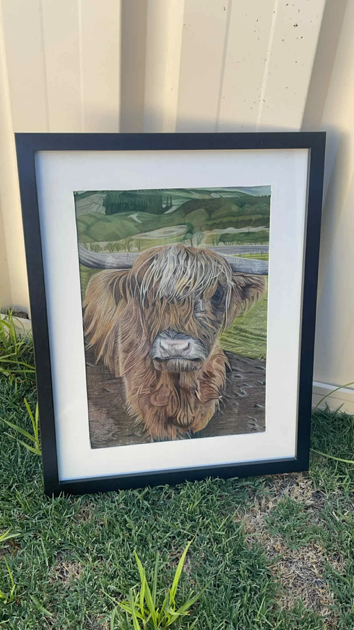 Framed watercolor painting or print of a Highland cow with long hair and beard, set outdoors on grass with a green hilly landscape background.