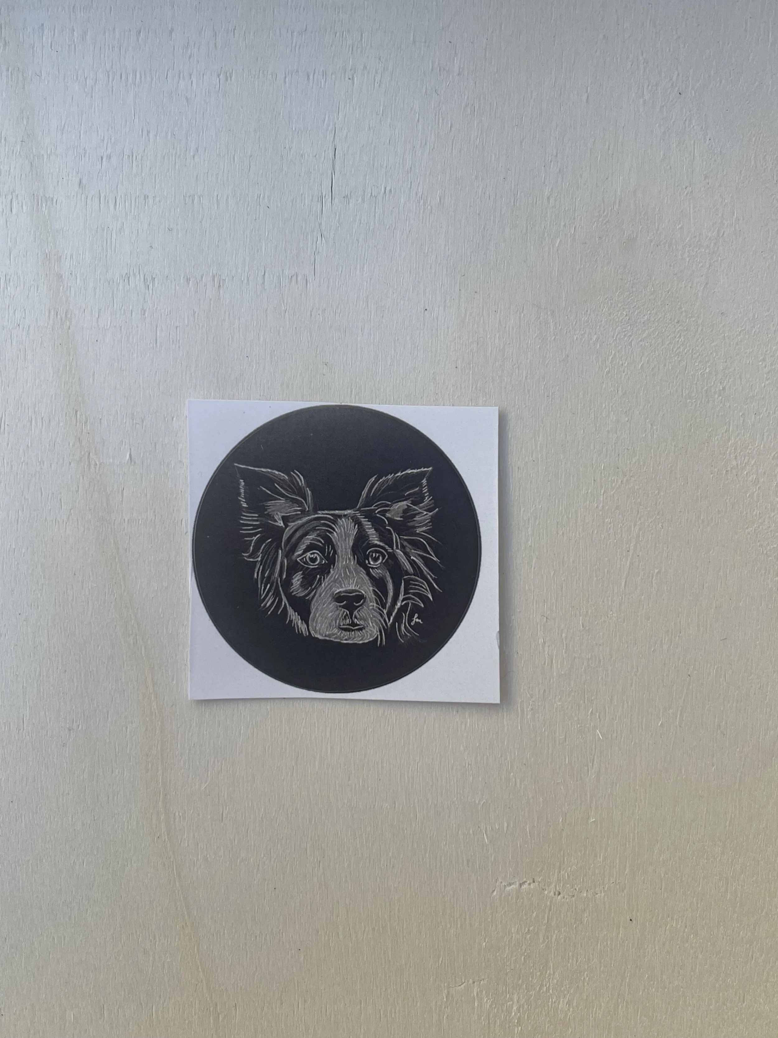 Circular Sticker - Border Collie