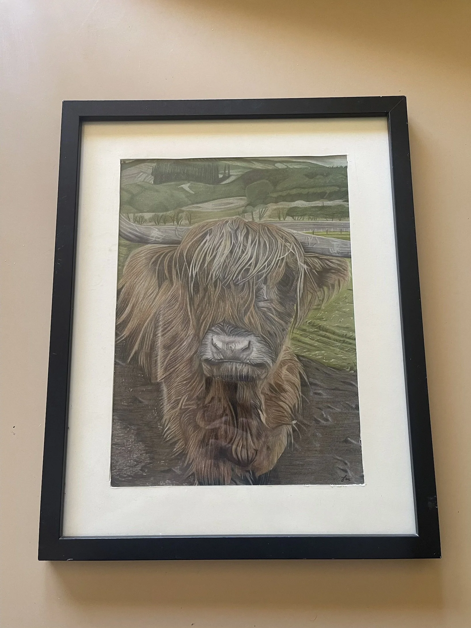 Bò Ghàidhealach (Highland Cow) - Original Artwork