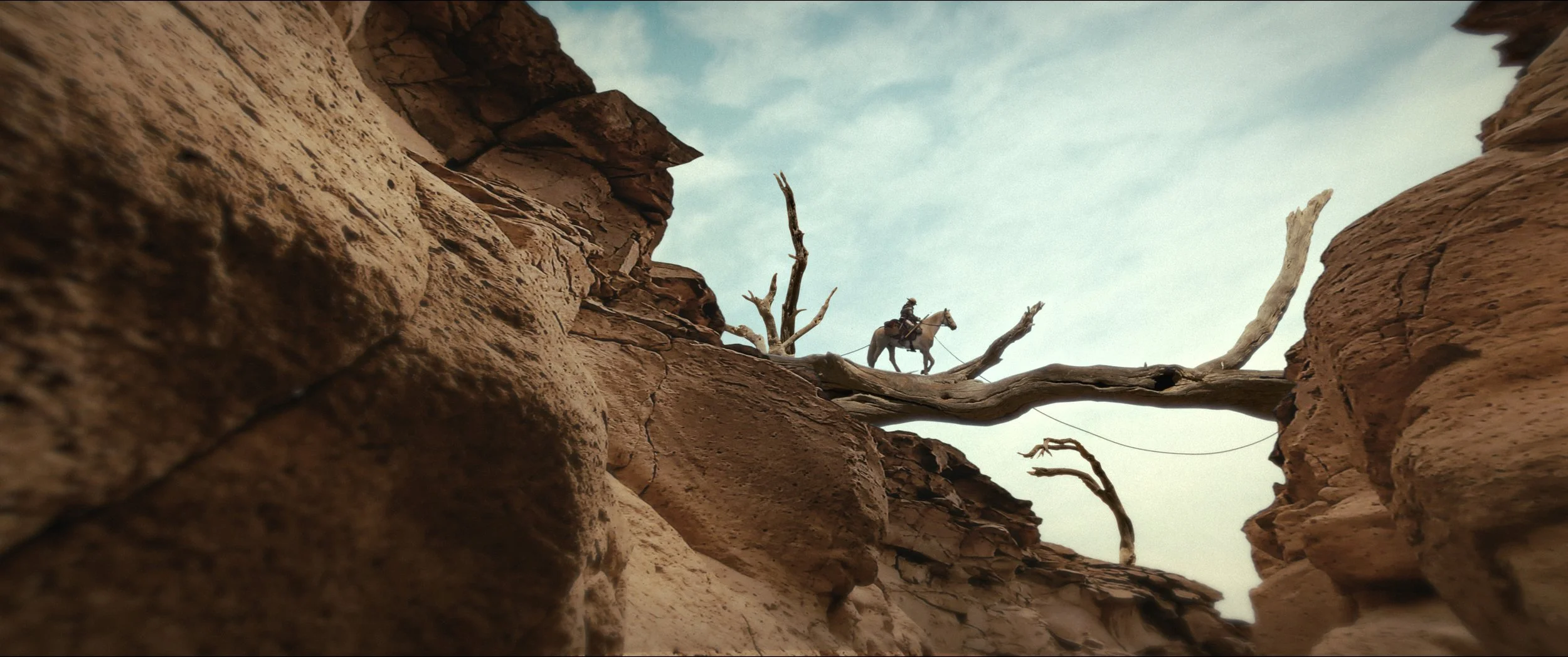 Don Quichotte contre les forces du mal