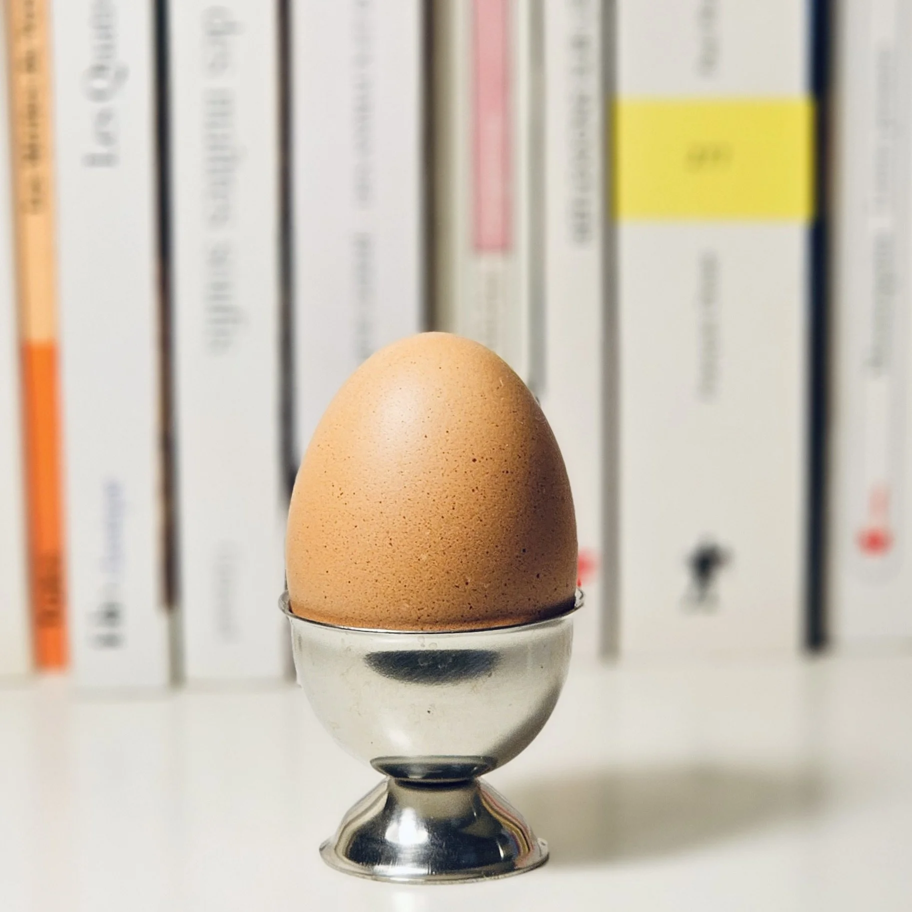 Brown Egg, Library — Still Life Fine Art Print (Home Edition, 20x20 Dibond)