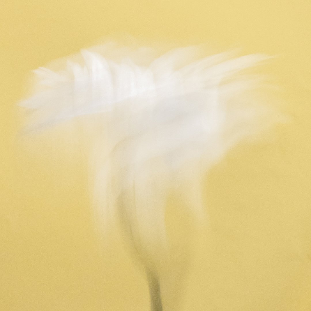 Blurred image with yellow and white colors, indistinct shapes and details.